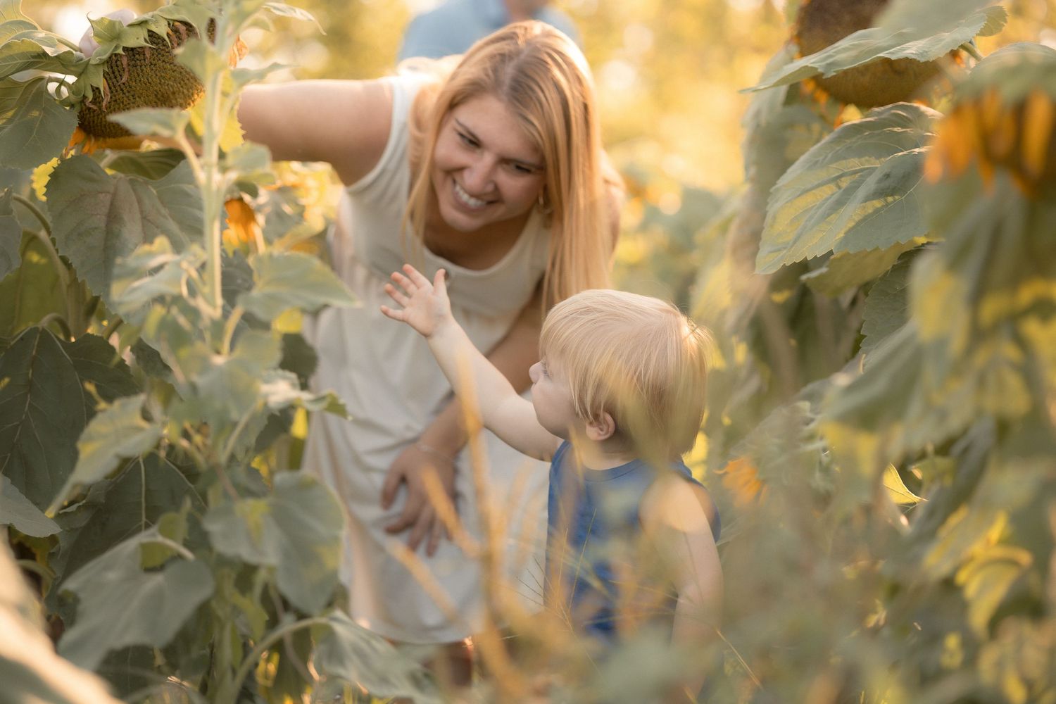 A mother and young child explore a sunflower field together in warm golden sunlight.