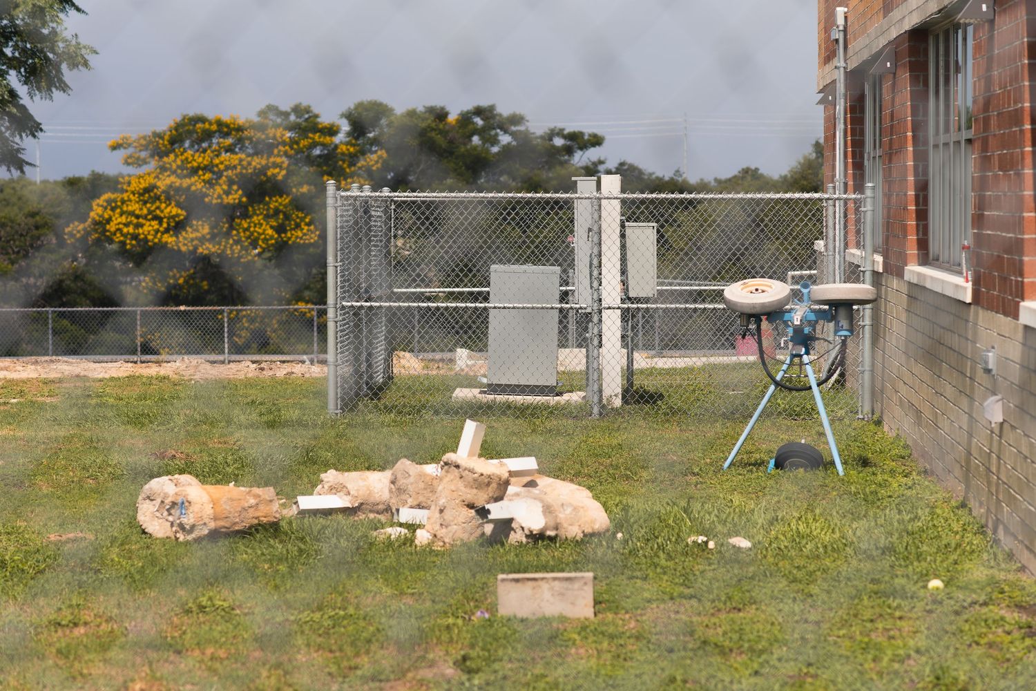Outdoor yard with cut logs and wood debris on grass near a chain-link fence beside a brick building.