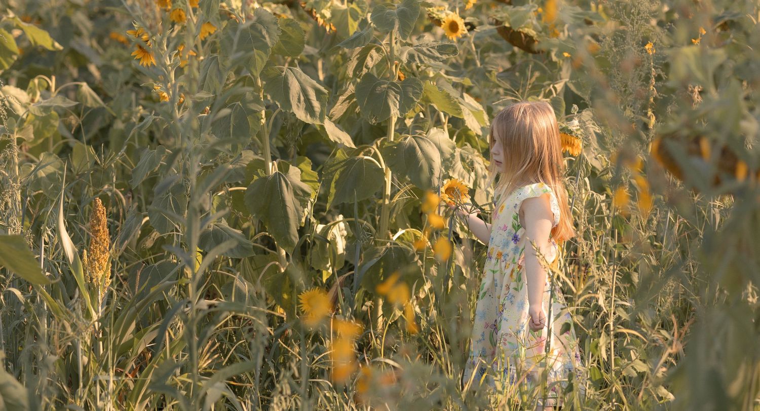 Young girl in white dress standing among tall sunflowers in a golden field during sunset.