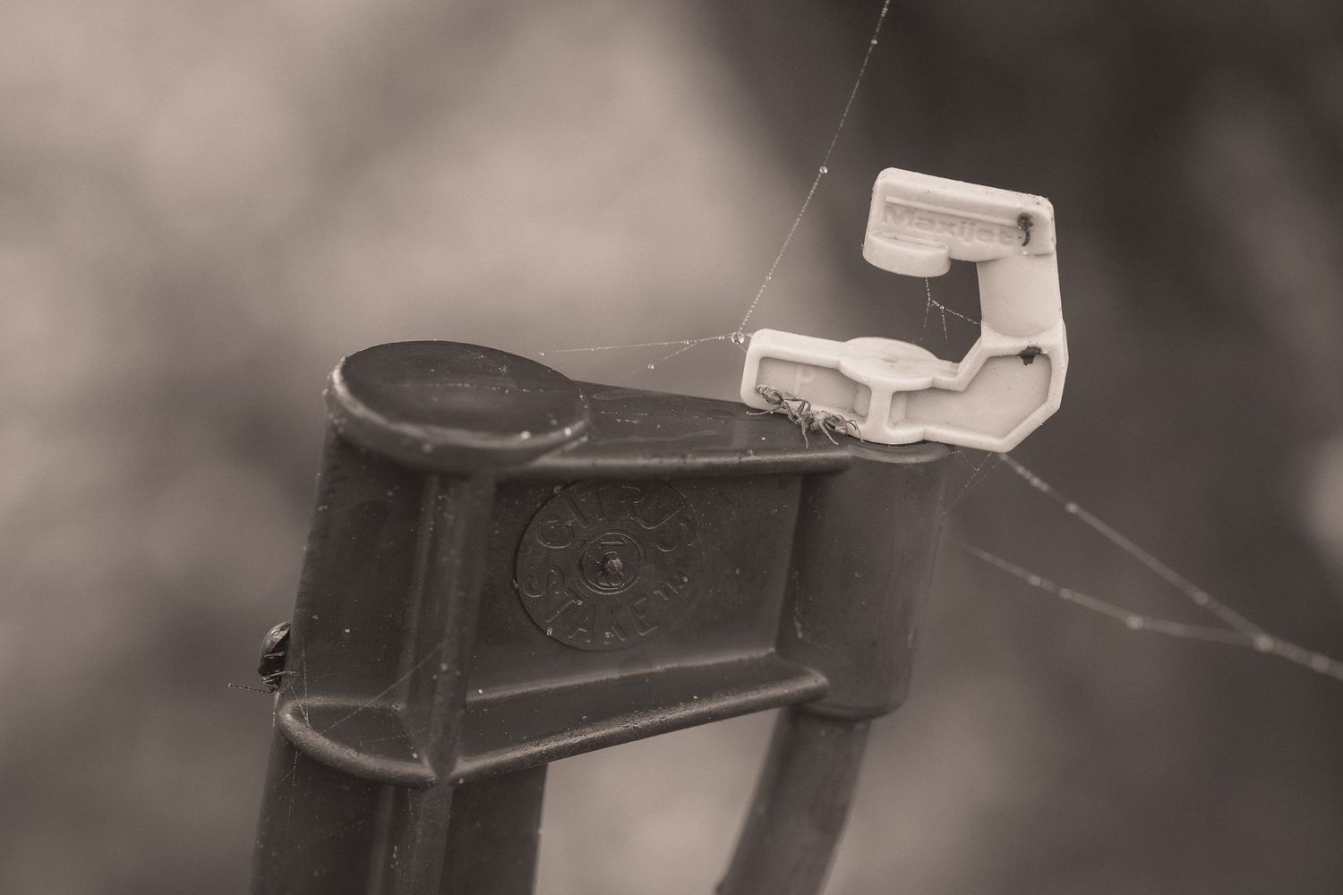 A close-up black and white photo of a bicycle brake lever mounted on handlebars.