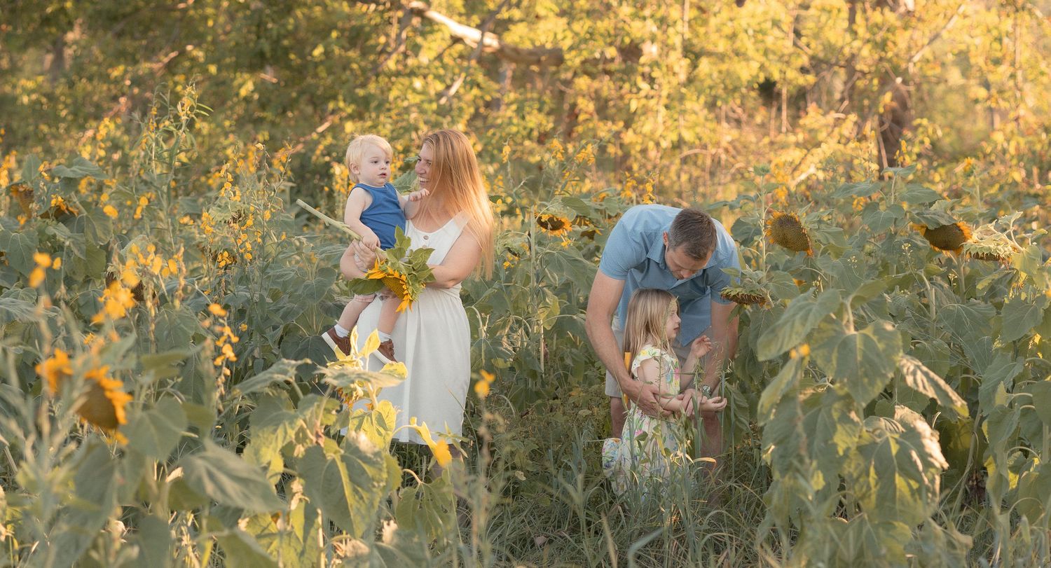 Family with young children posing in a golden sunflower field during a warm sunny day outdoor photo session.