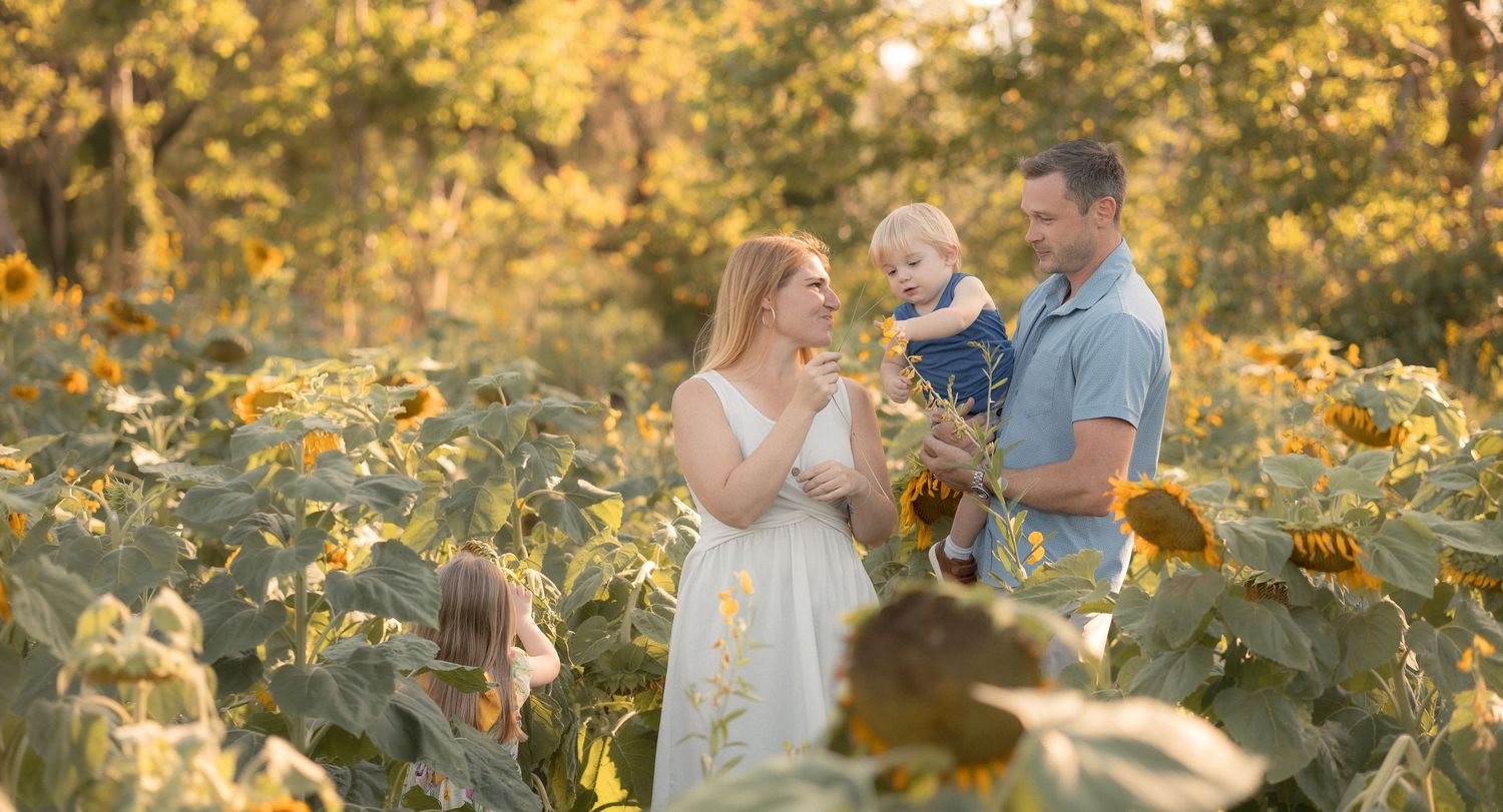 Family with baby posing in golden sunflower field during sunset, warm natural light photography.