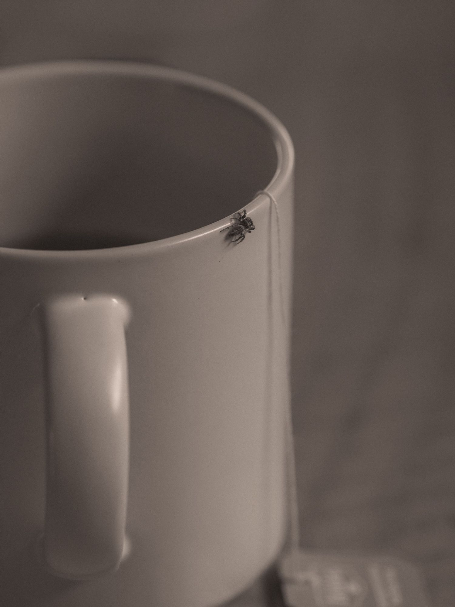 A small ant perched on the rim of a white ceramic coffee mug in a moody, sepia-toned close-up photo.