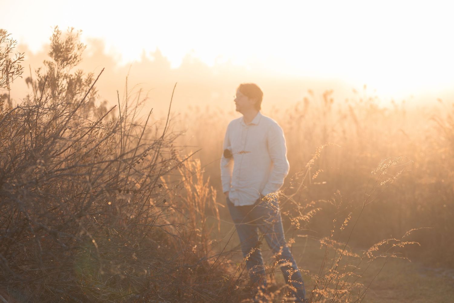 A person walks through a golden field at sunset while warm light filters through tall grass and trees.