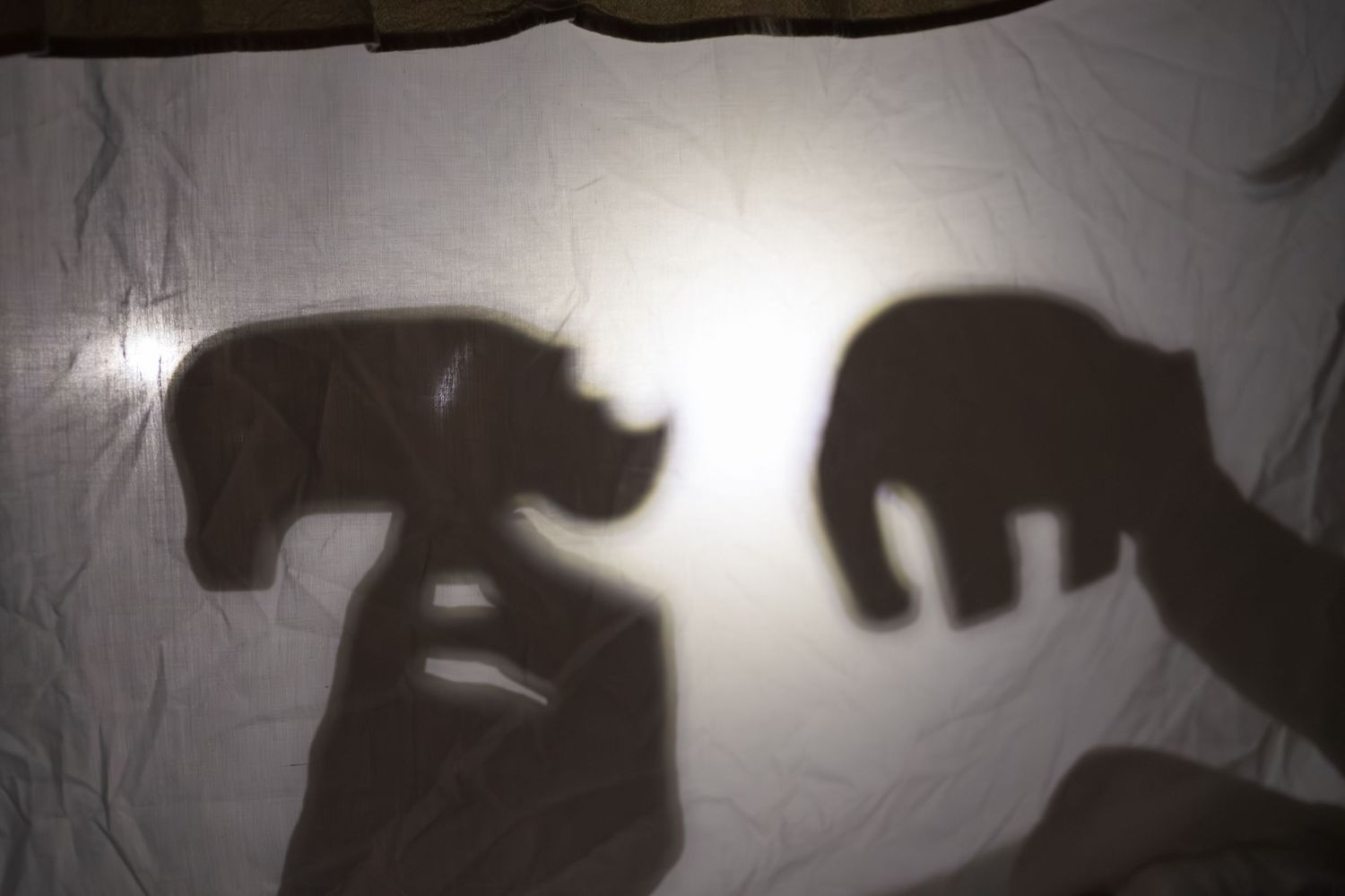 Dark silhouettes of hands creating shadow puppet animals against a white illuminated background.