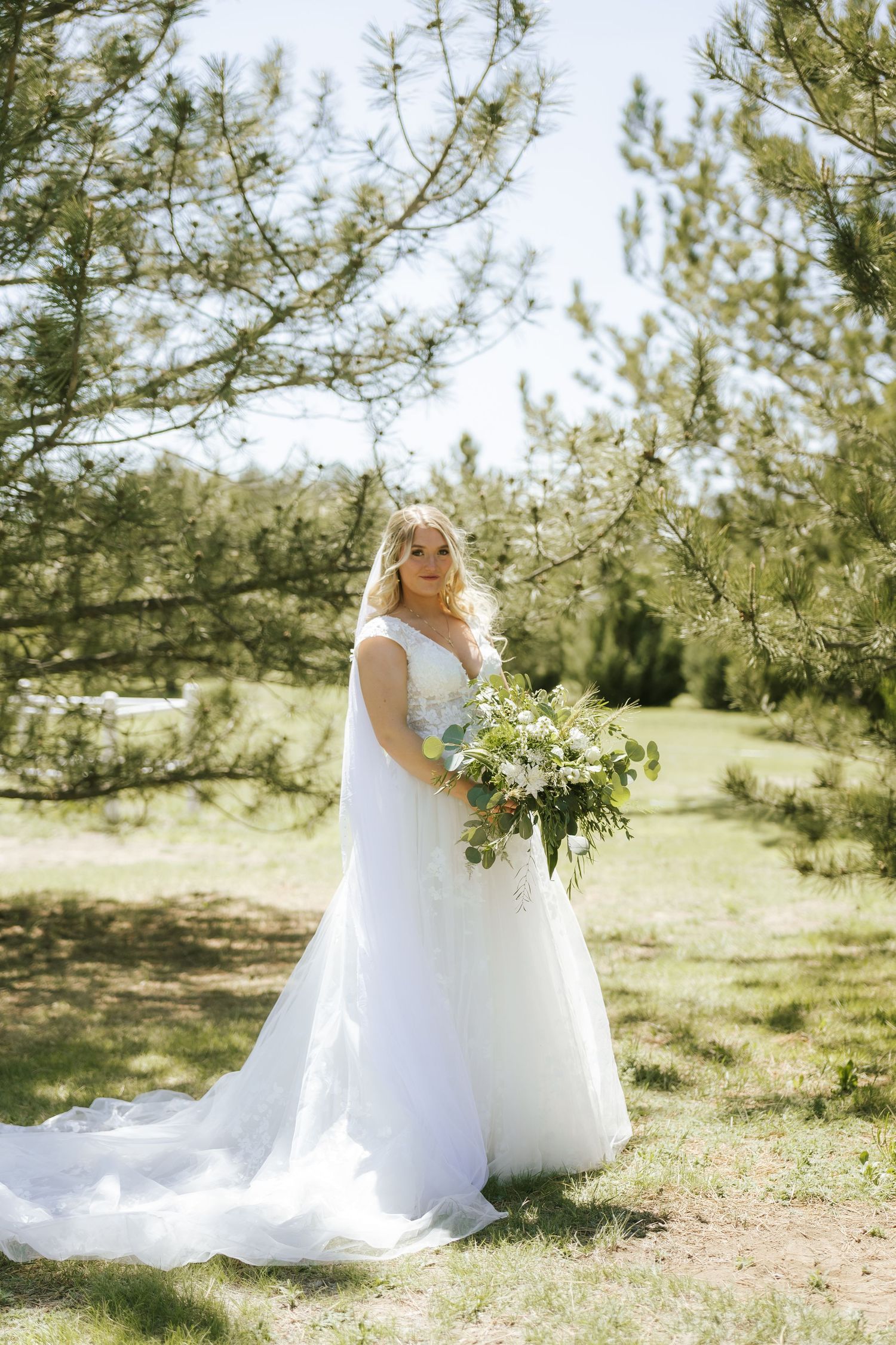 bride portraits