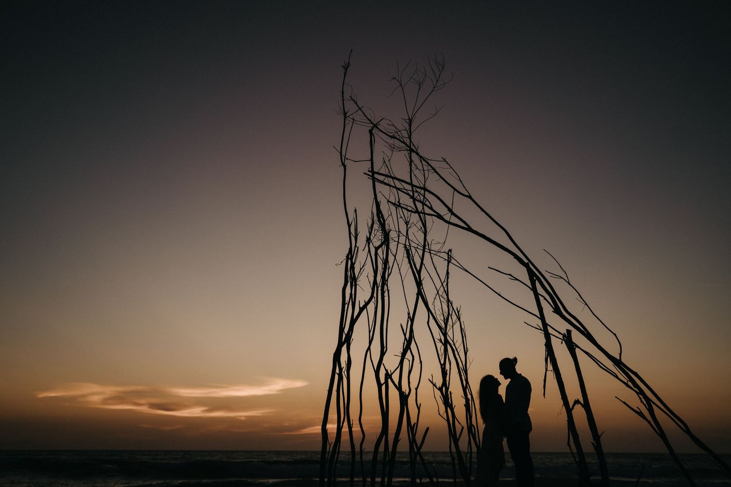 Silhouettes of dead tree branches against a moody sunset sky create a dramatic natural scene.