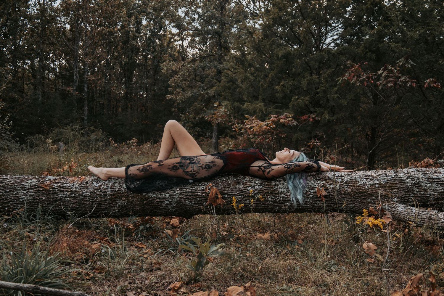 A serene forest scene with fallen logs and autumn foliage creating a moody natural atmosphere.
