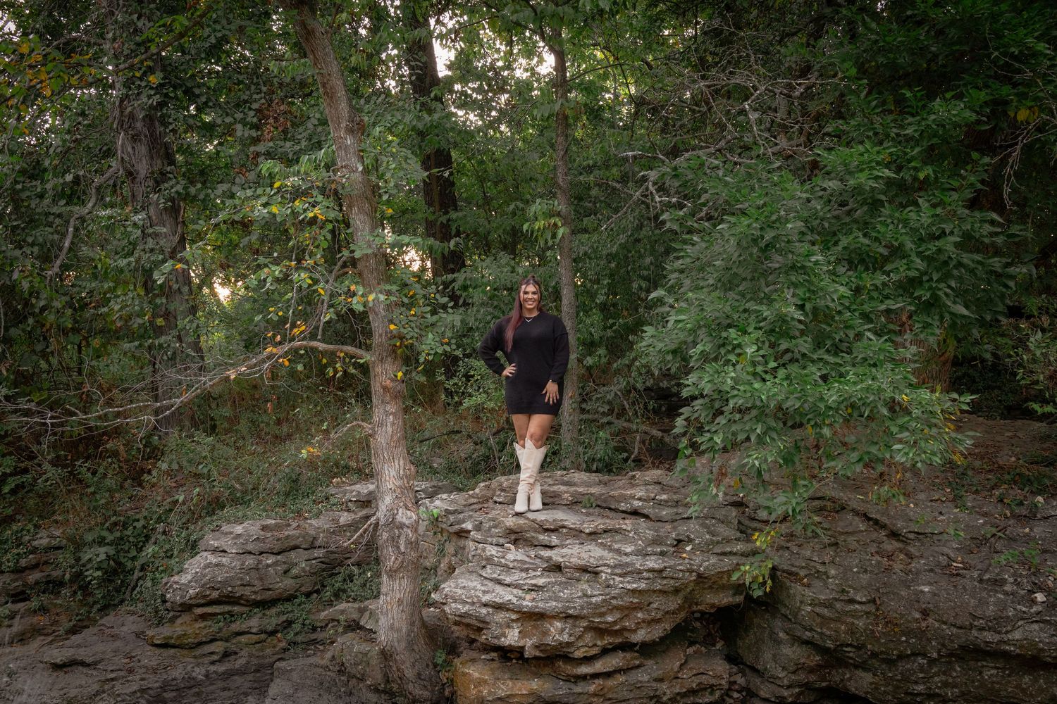 Rocky outcropping surrounded by green trees in a natural woodland setting.