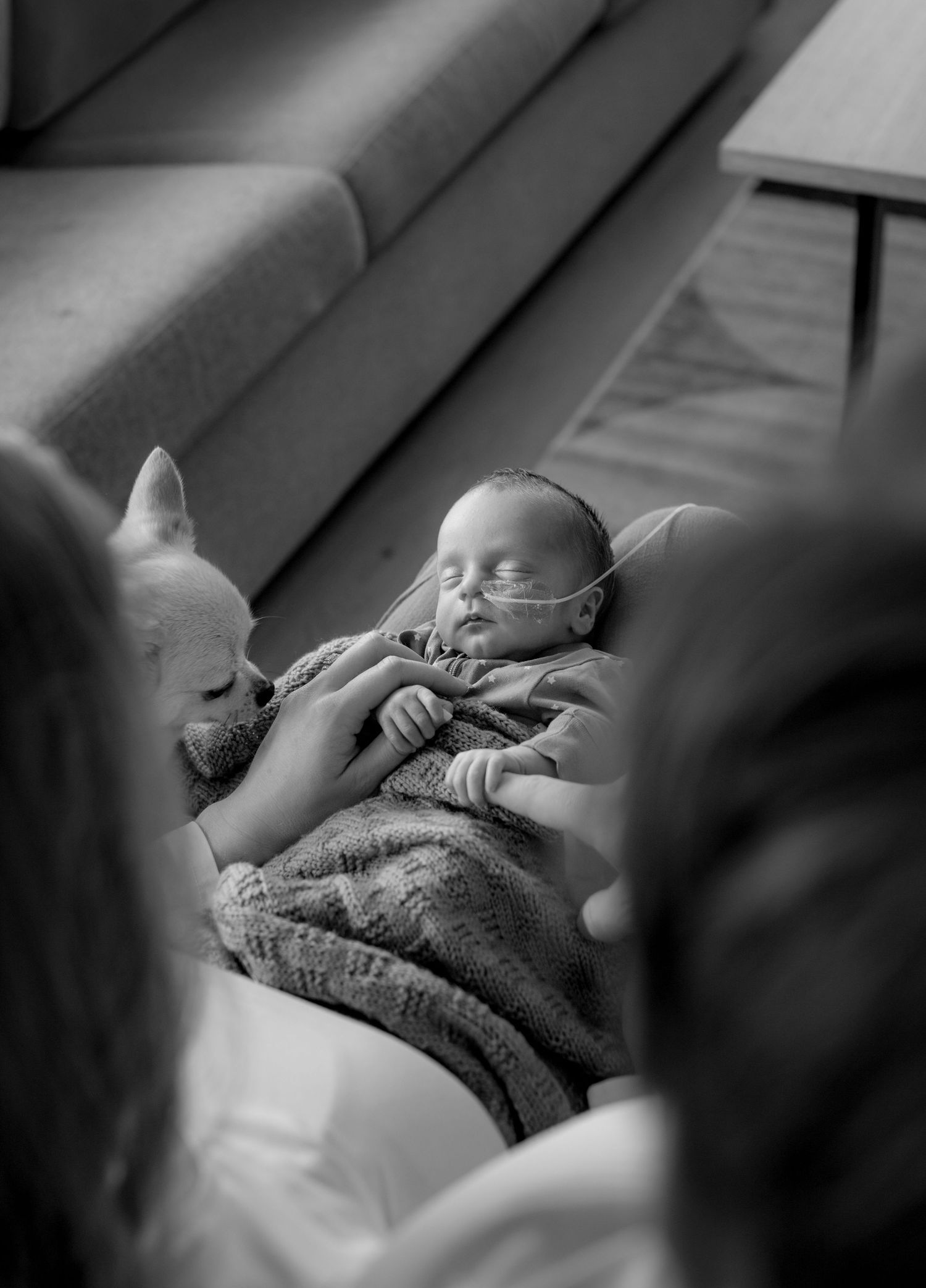 A series of black and white photographs showing a sleeping baby in soft window light through venetian blinds.