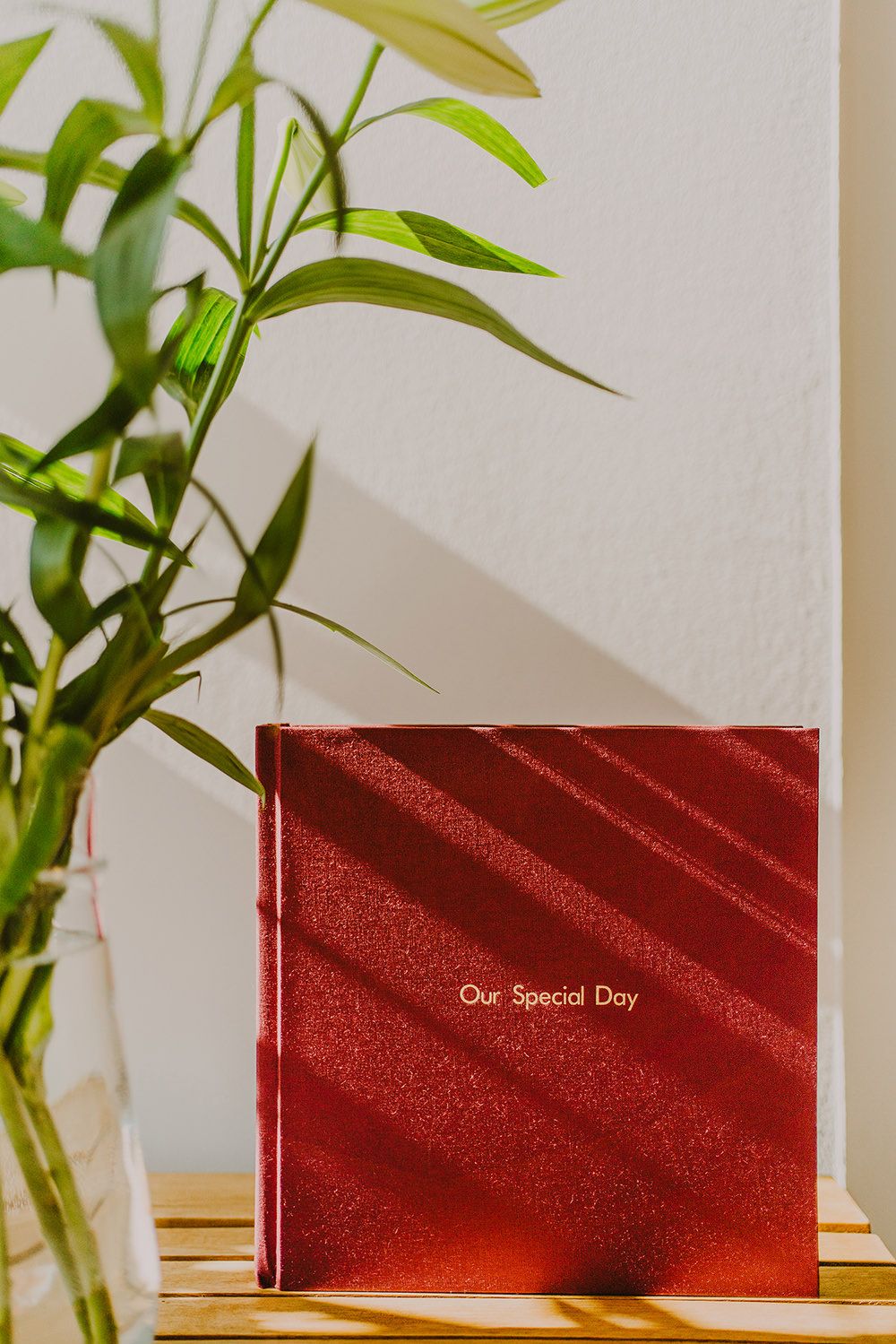 A red leather photo album titled 'Our Special Day' sits near a green plant.