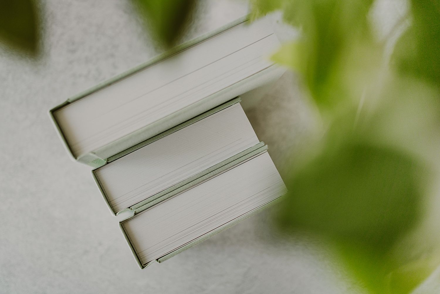 Three white minimalist books photographed from above against a light background with green foliage.