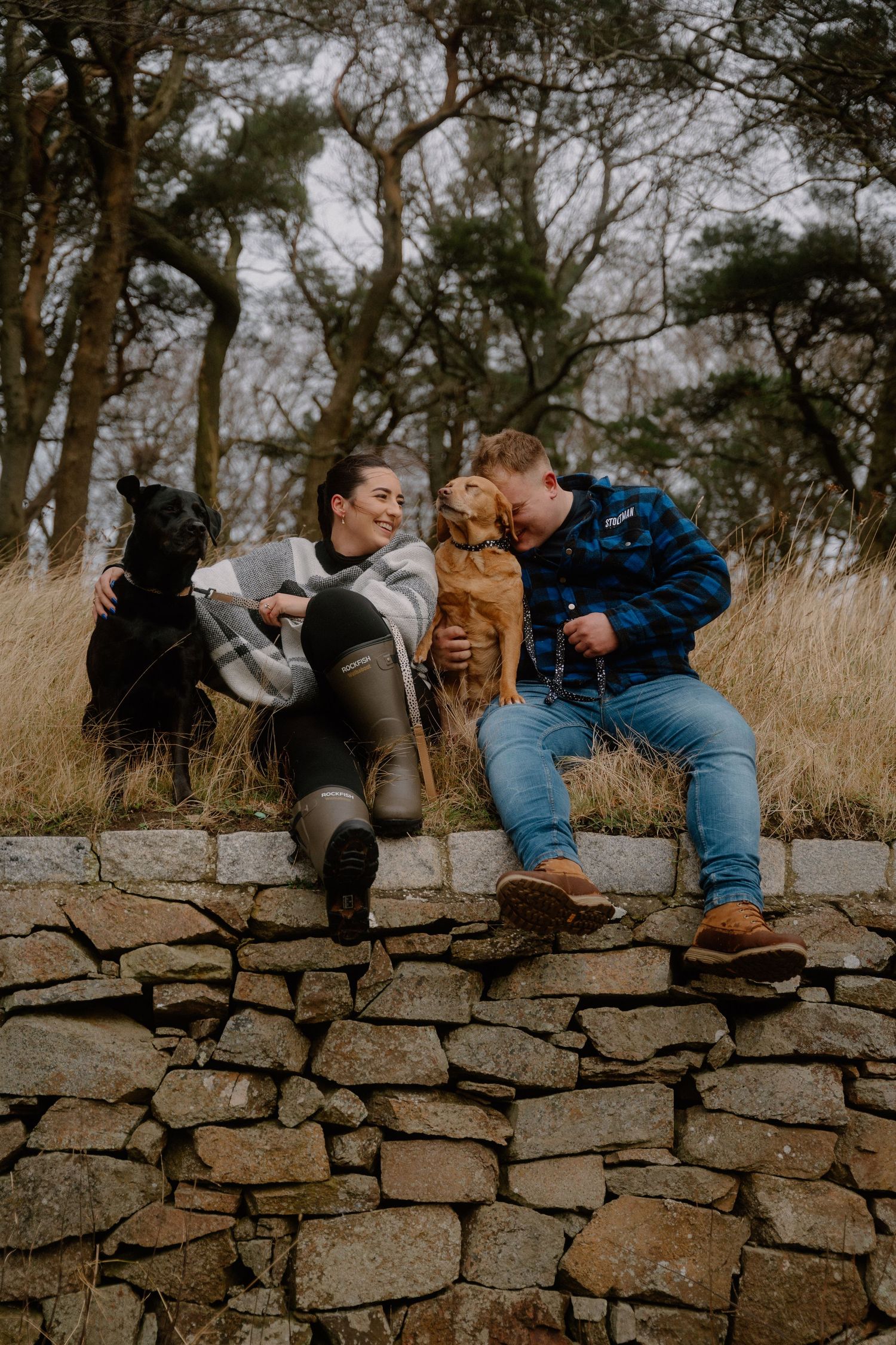 Two people sharing a laugh while sitting on stone wall with dogs and trees in background.