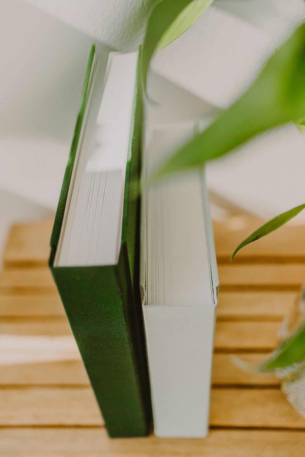 Close-up view of green and white book spines with bamboo leaves in the foreground.