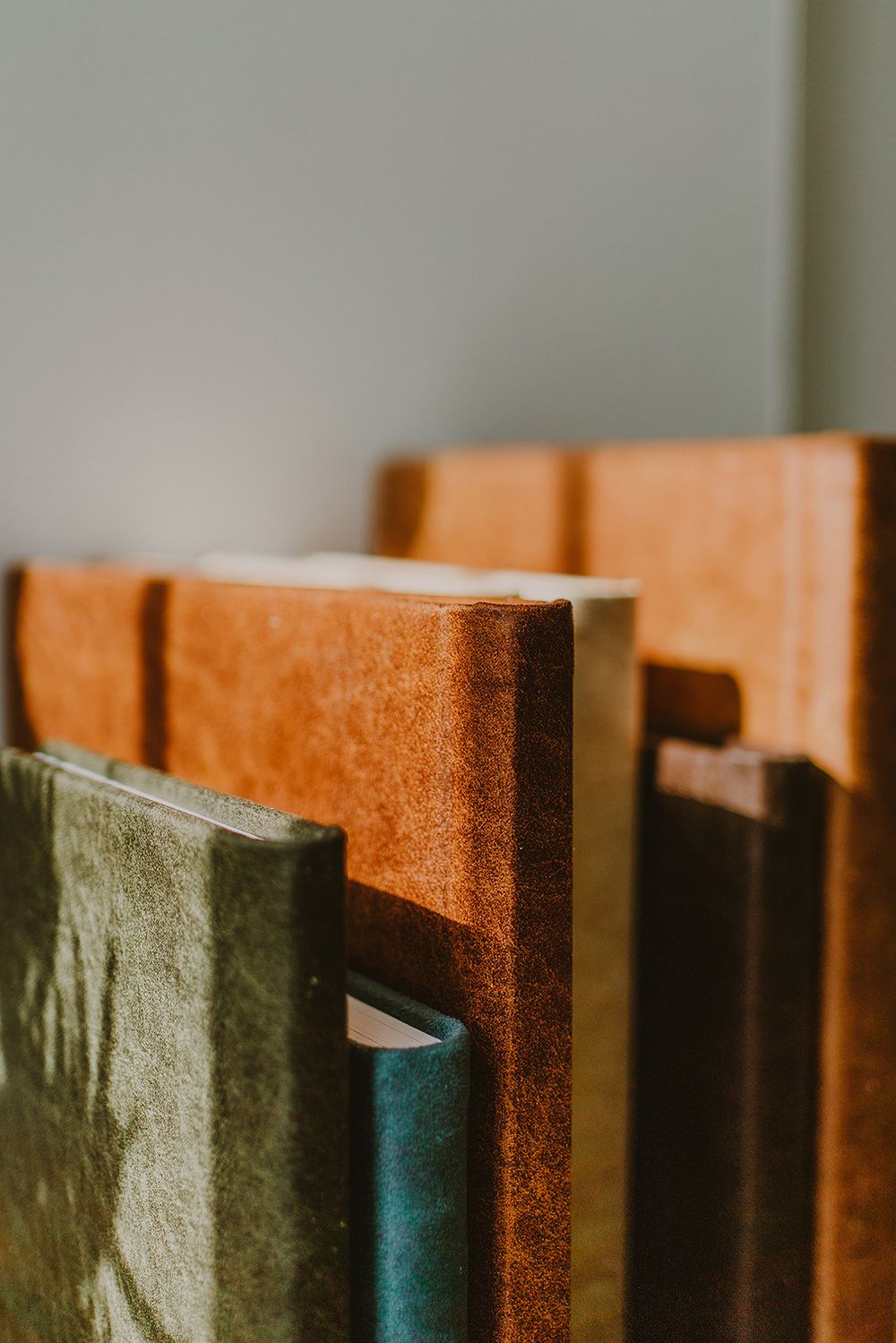 Close-up of vintage leather book spines lined up on a shelf.