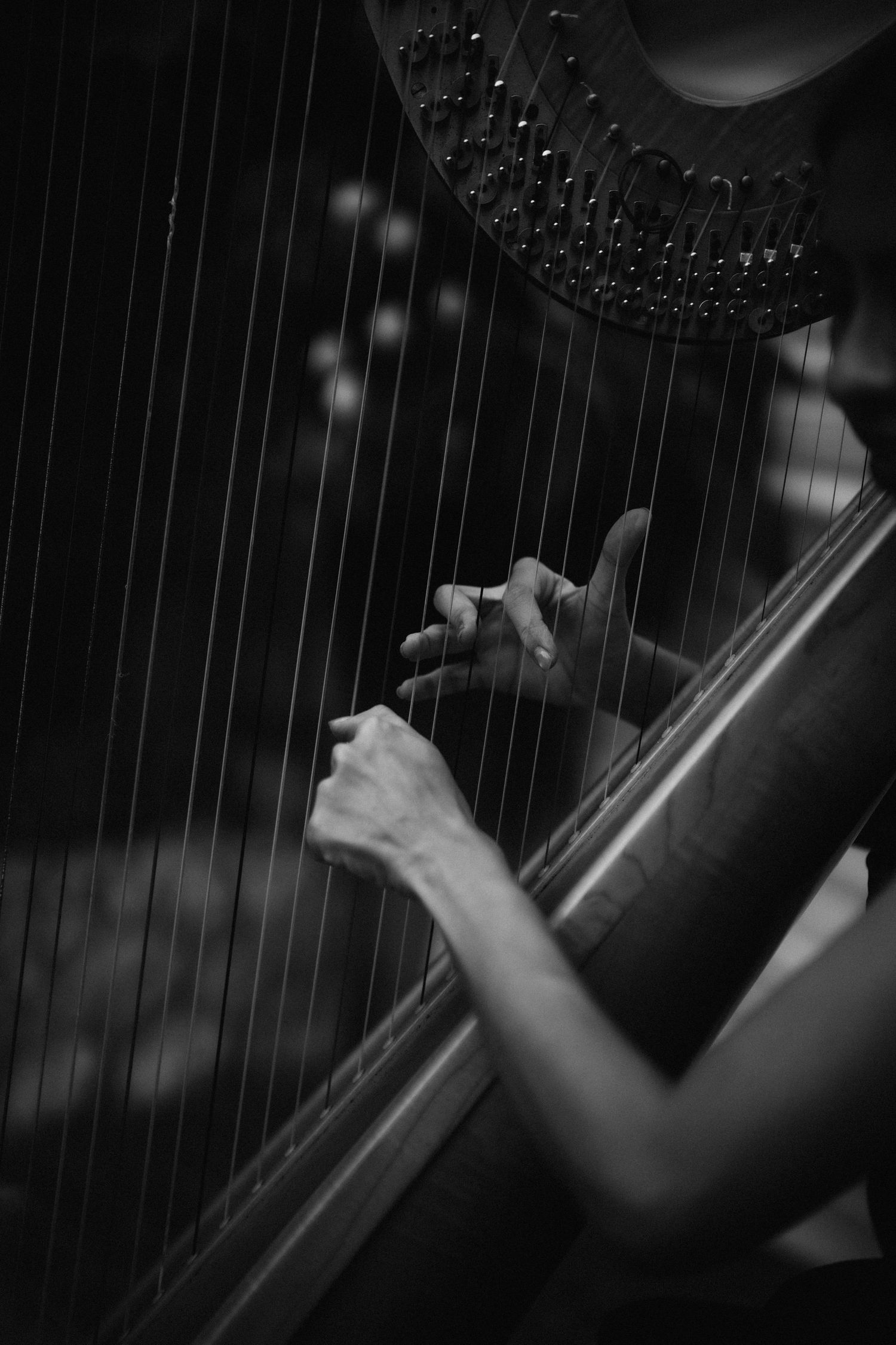 Black and white photo of a harpist playing a concert harp, fingers delicately plucking the strings.