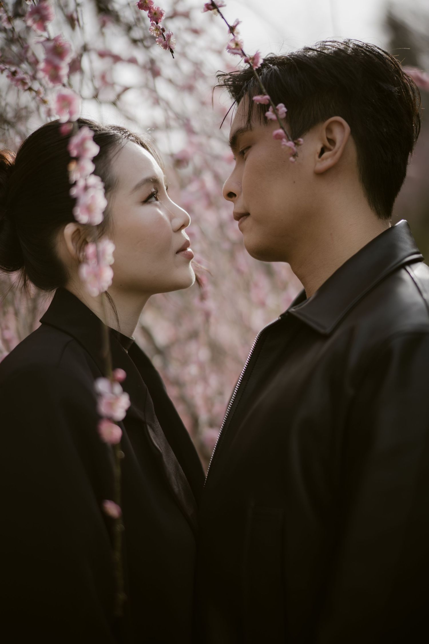 A couple in black outfits share an intimate moment surrounded by pink cherry blossom branches in bloom.
