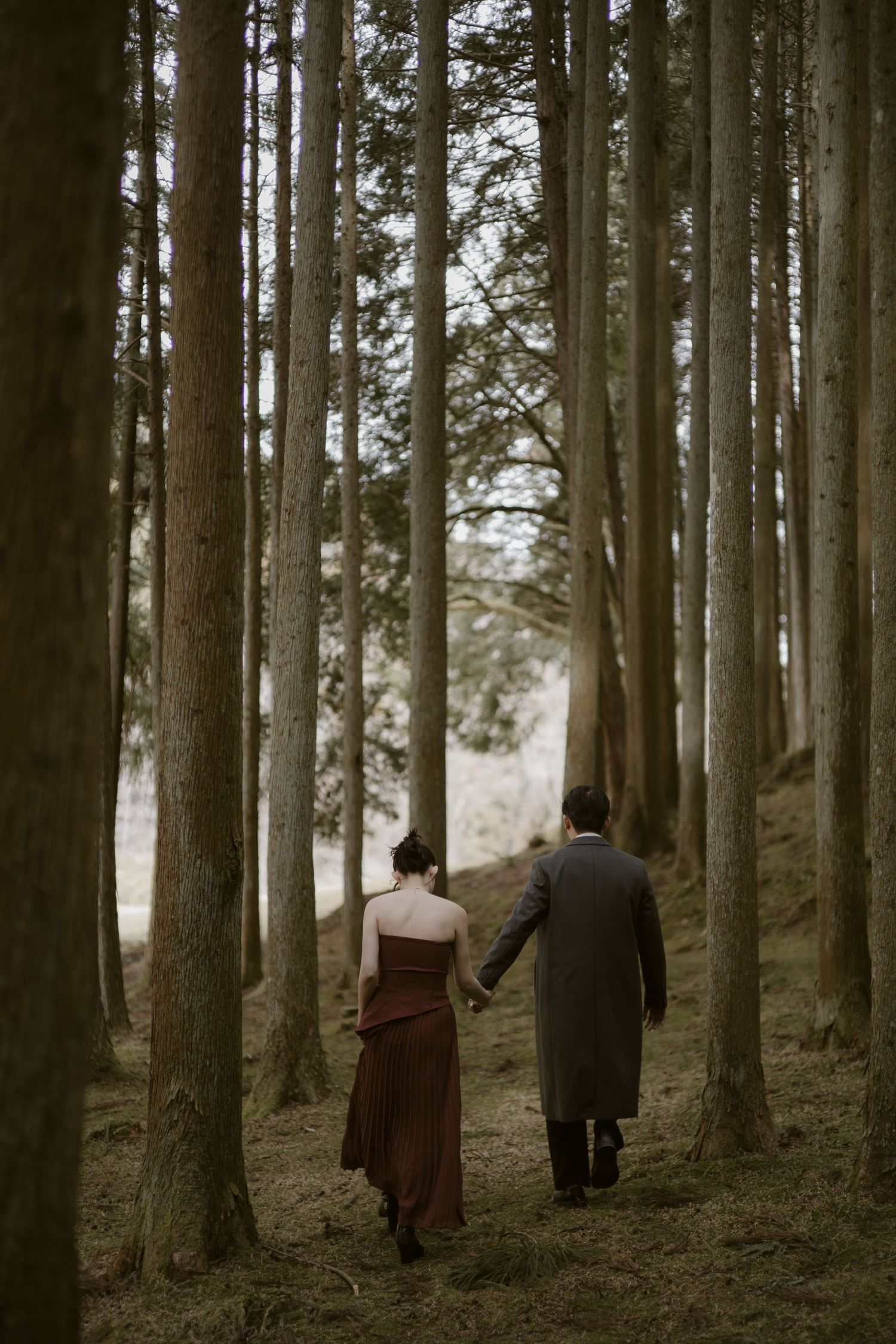 Couple holding hands walking through tall pine forest in autumn, wearing elegant brown dress and gray coat.
