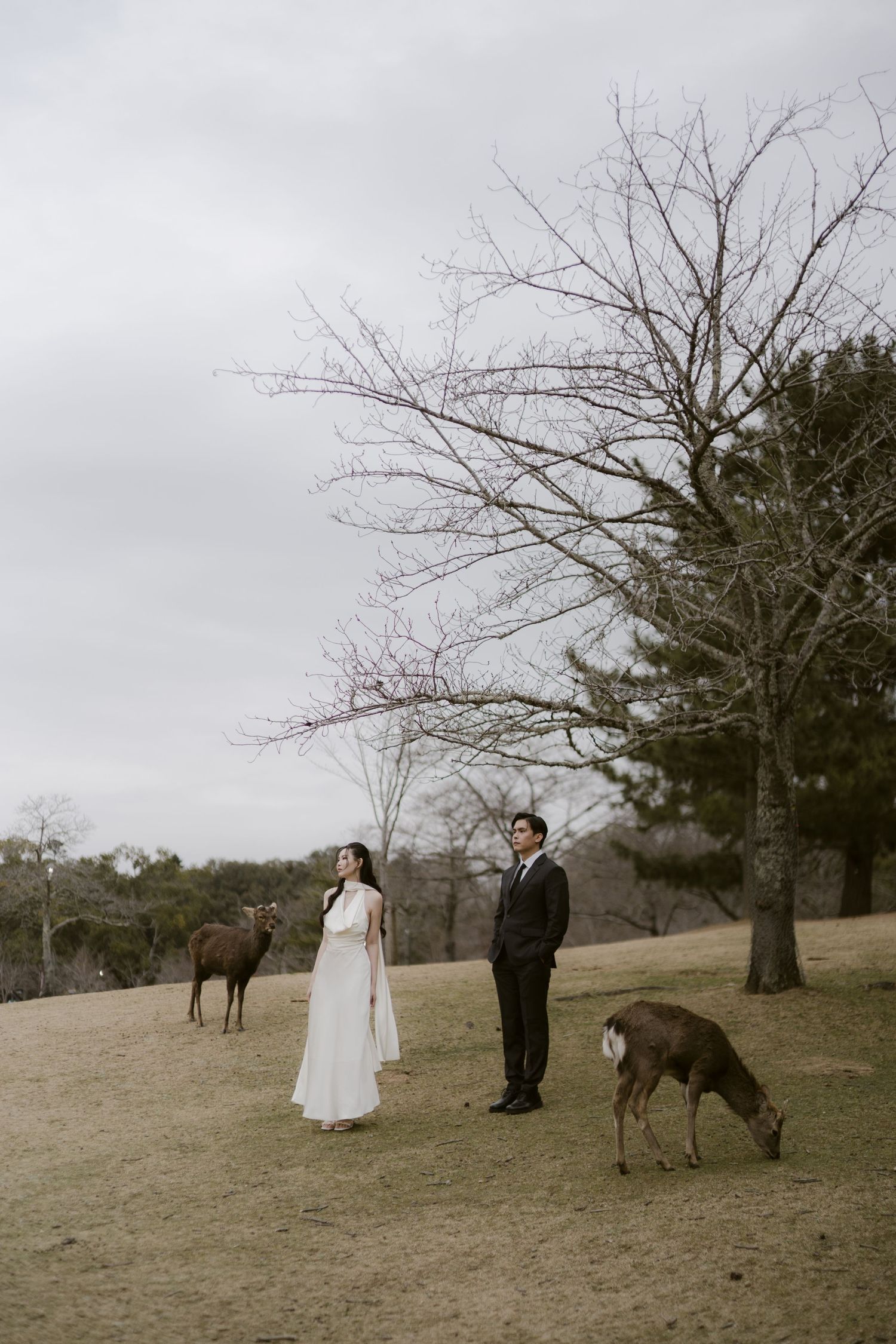 Bride and groom stand among grazing deer in a serene outdoor setting with bare trees and overcast skies.