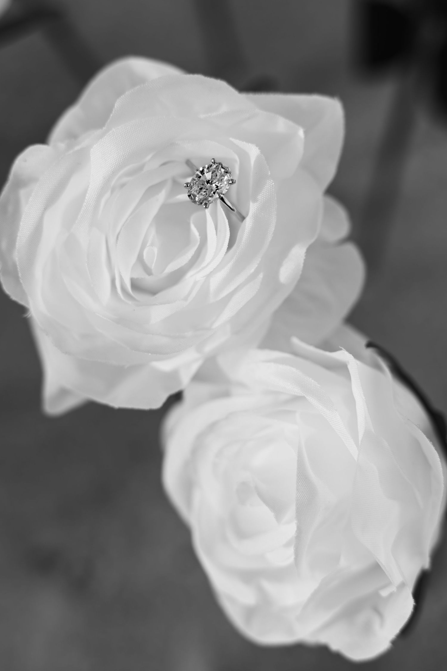 Black and white photo of a diamond engagement ring nestled in the petals of two white roses.