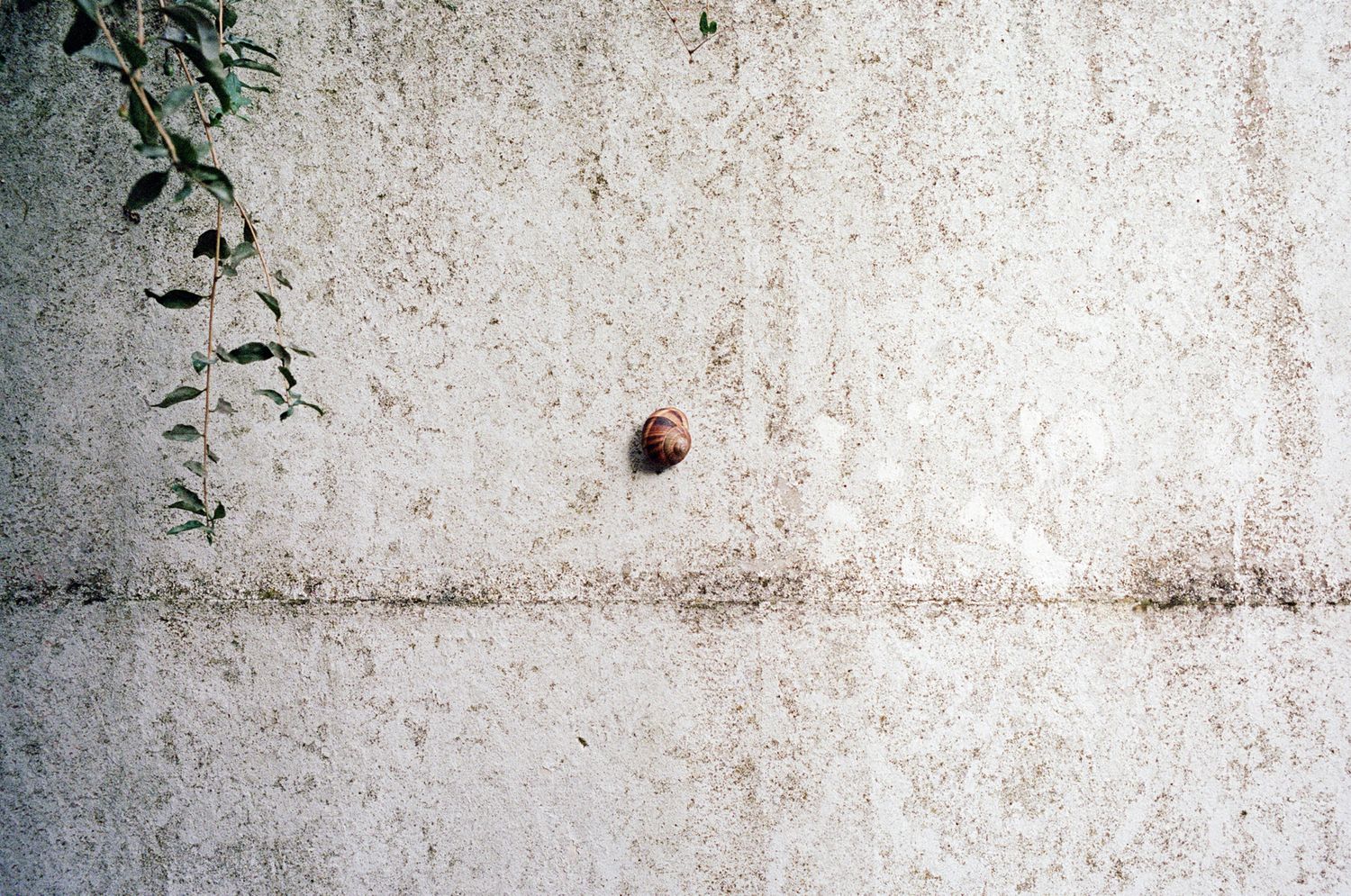 Photographie argentique, texture mur et silhouette — Cyril Cornet CYRBOX