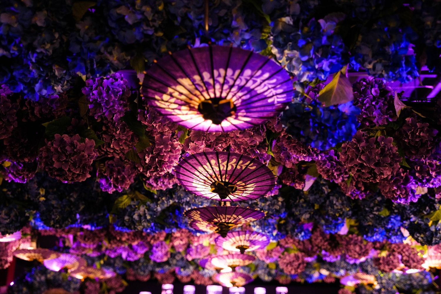Colorful Japanese umbrellas with purple and blue lighting surrounded by floral ceiling decorations.