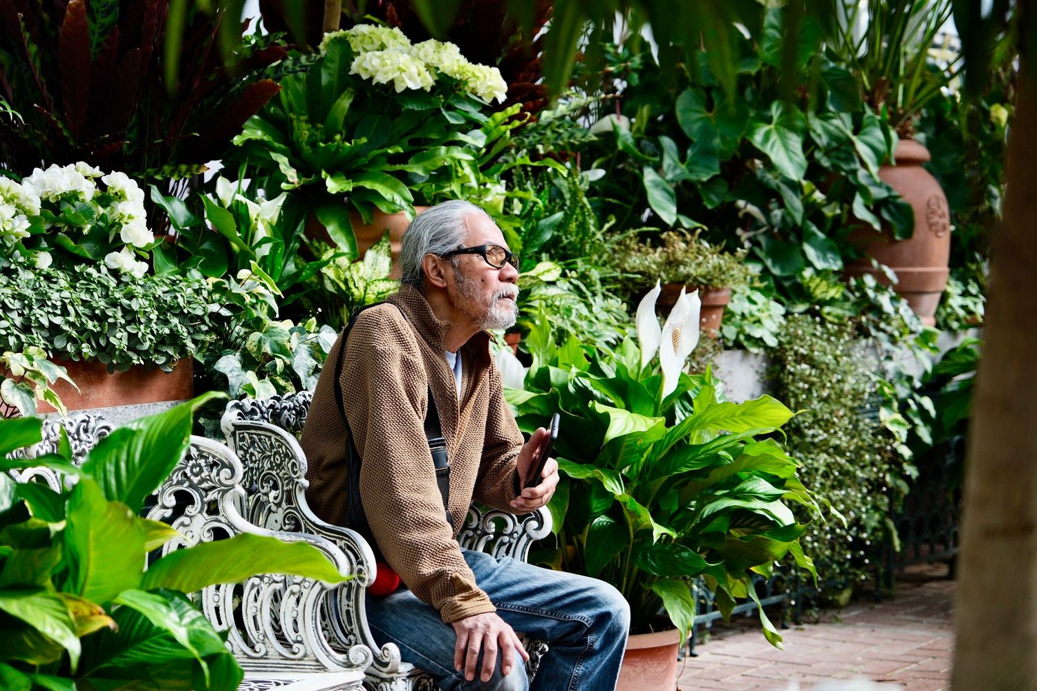 Elderly man sitting on ornate bench surrounded by lush tropical garden plants.