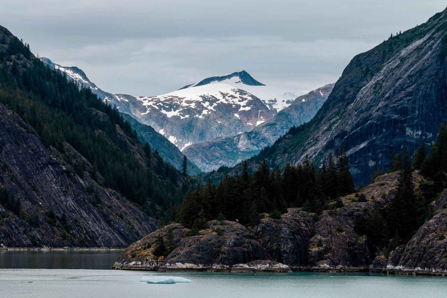 A stunning Alaskan fjord landscape featuring snow-capped mountains, evergreen forests, and turquoise glacial waters.