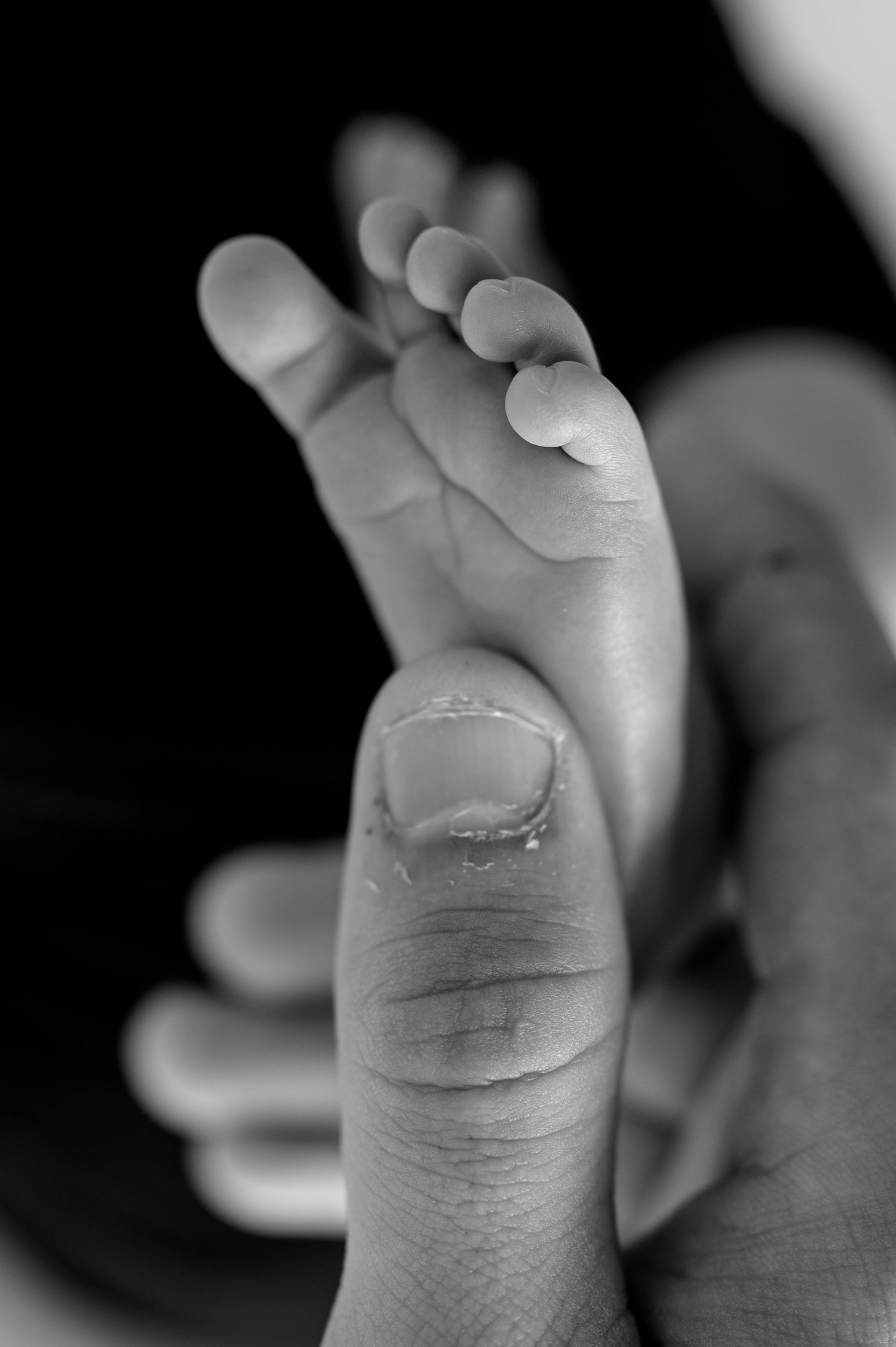 Black and white close-up of an adult hand gently cradling a newborn baby's tiny foot.