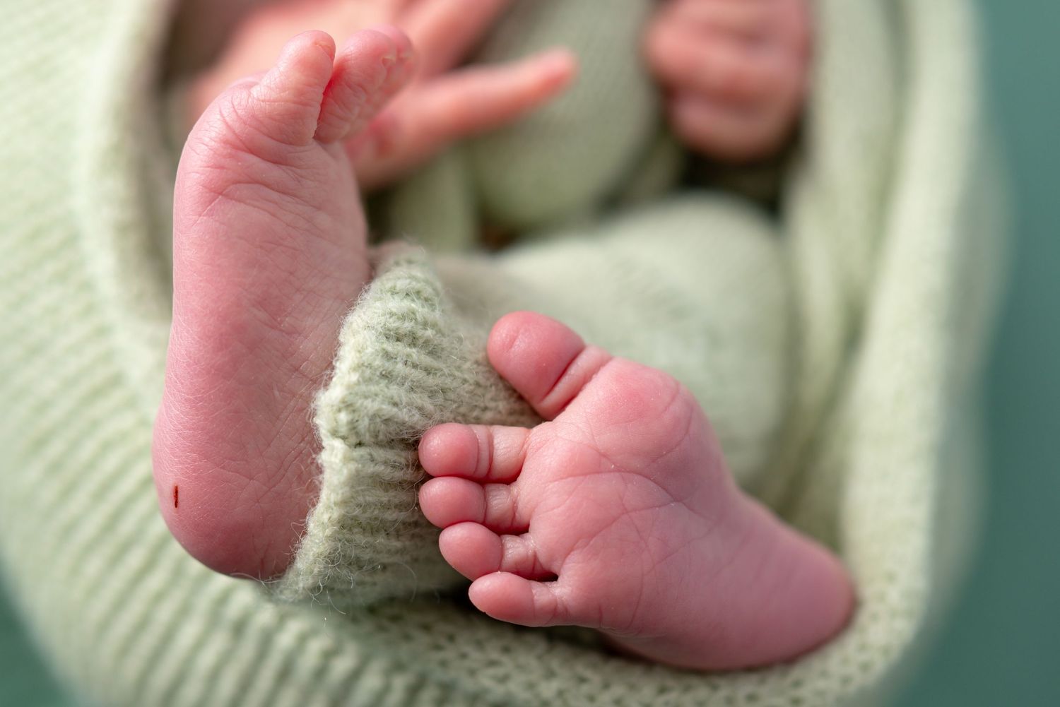 Close-up of newborn baby tiny feet and toes wrapped in soft mint green knit blanket.