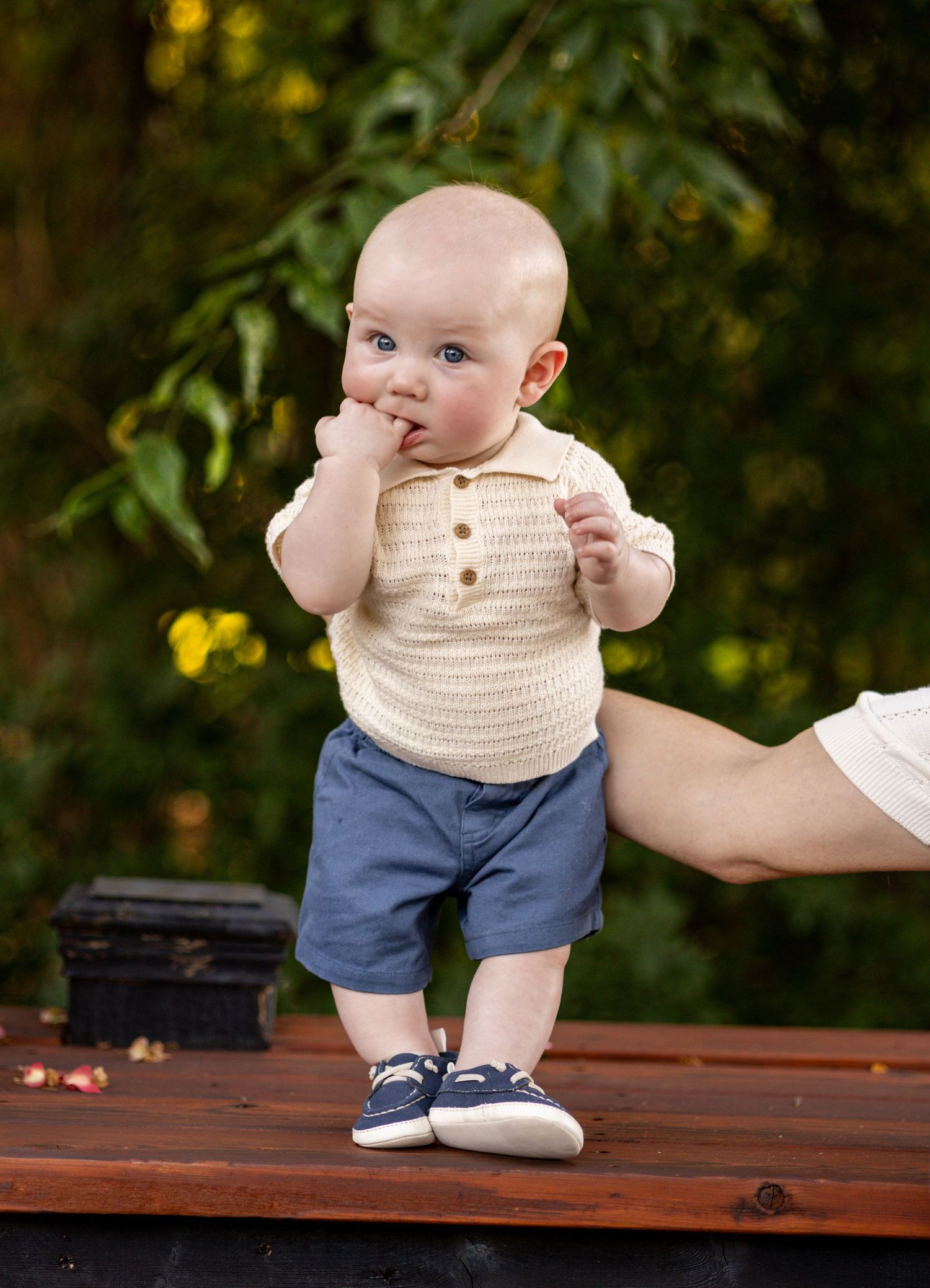 Adorable baby boy in cream polo and blue shorts standing on wooden deck with finger in mouth.