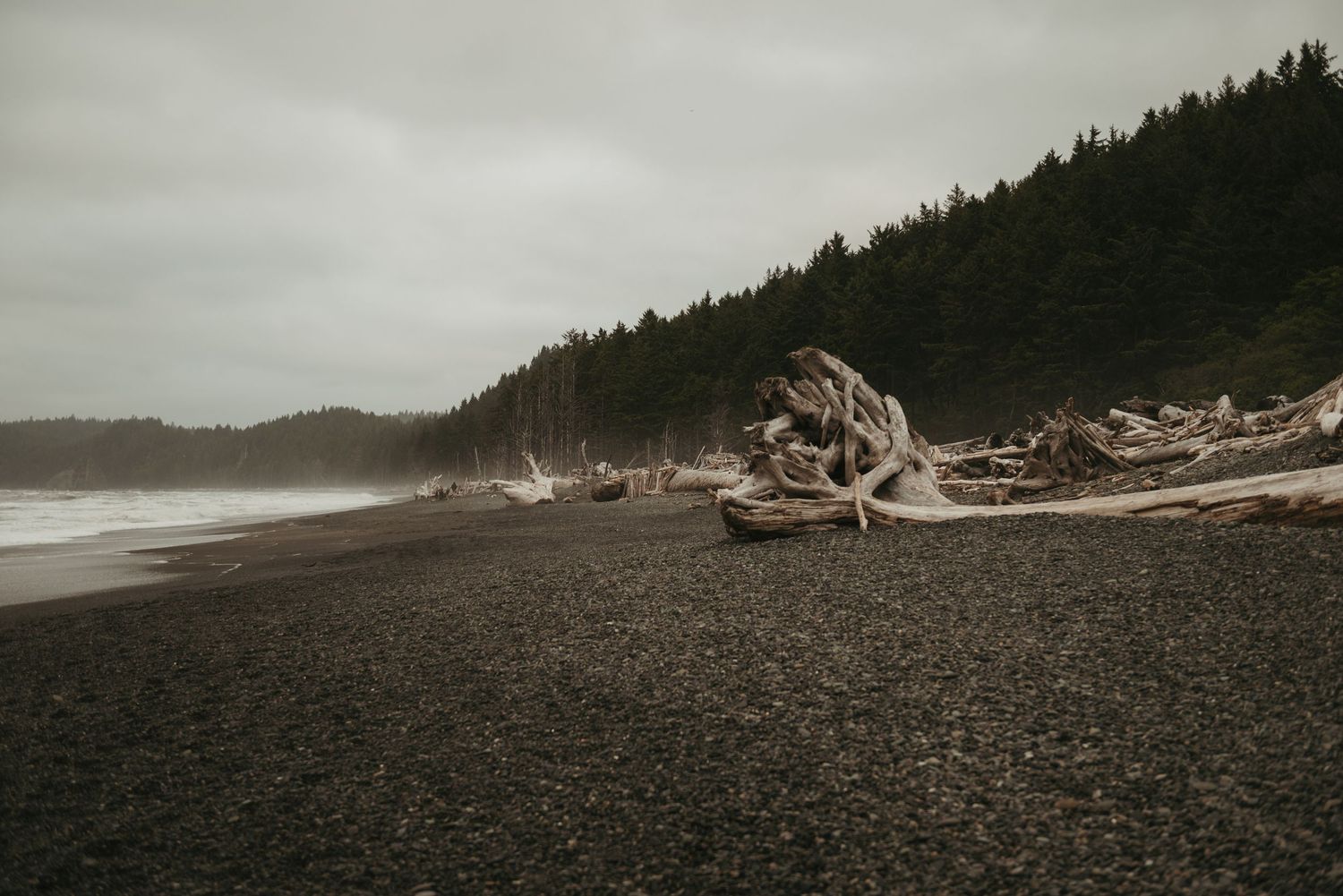 Beach at dusk in the rain in Washington at Olympic National Park