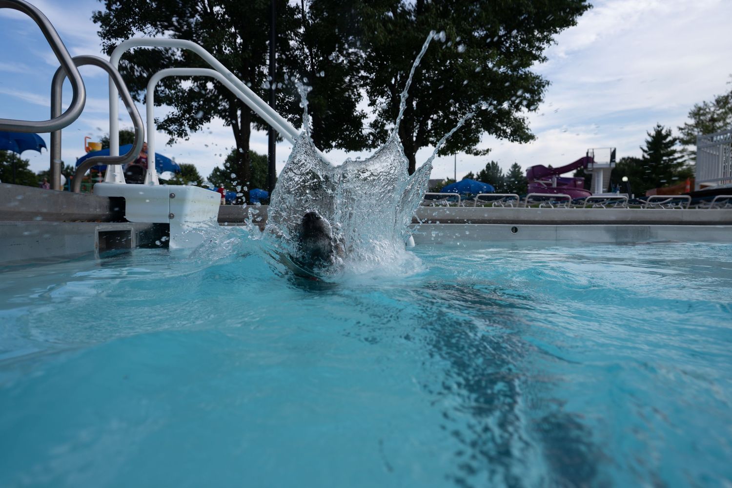 Person diving into a clear blue outdoor swimming pool with water splashing near metal ladder on a sunny day.
