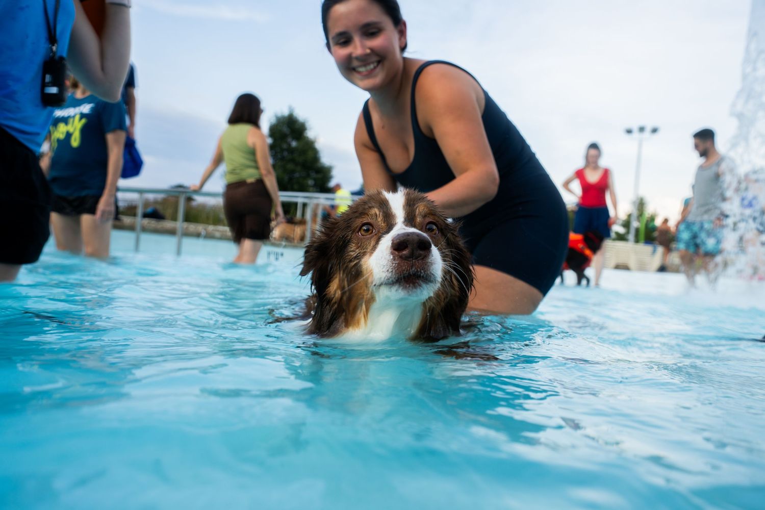 Woman smiling while helping a brown and white Australian Shepherd dog swim in a bright blue outdoor pool.