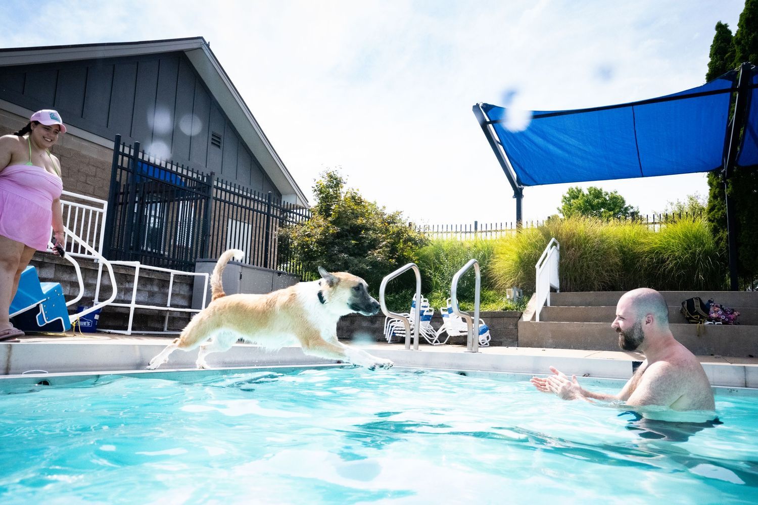 A golden dog leaps into a backyard pool toward a smiling man while a woman watches from the poolside.