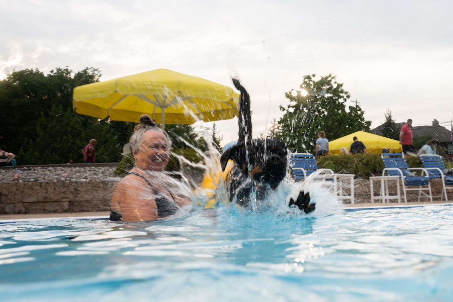 Woman laughing in outdoor pool as black dog splashes into water near yellow umbrella on cloudy day.