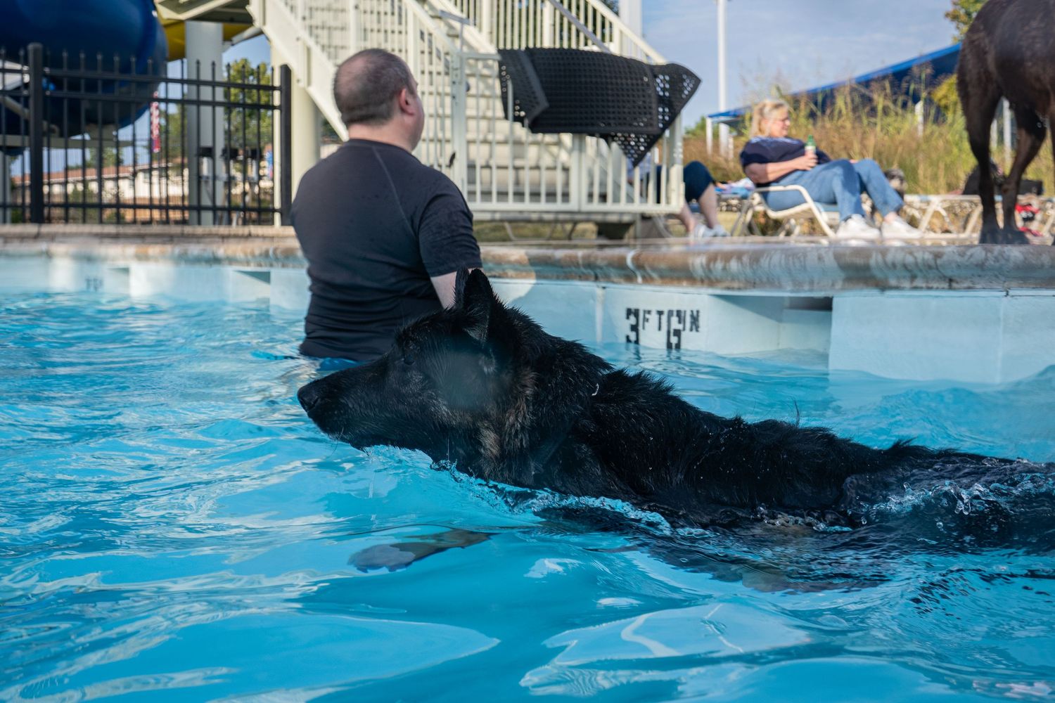 A man in a black shirt helps a large black dog swim in a bright blue outdoor pool at a water park.
