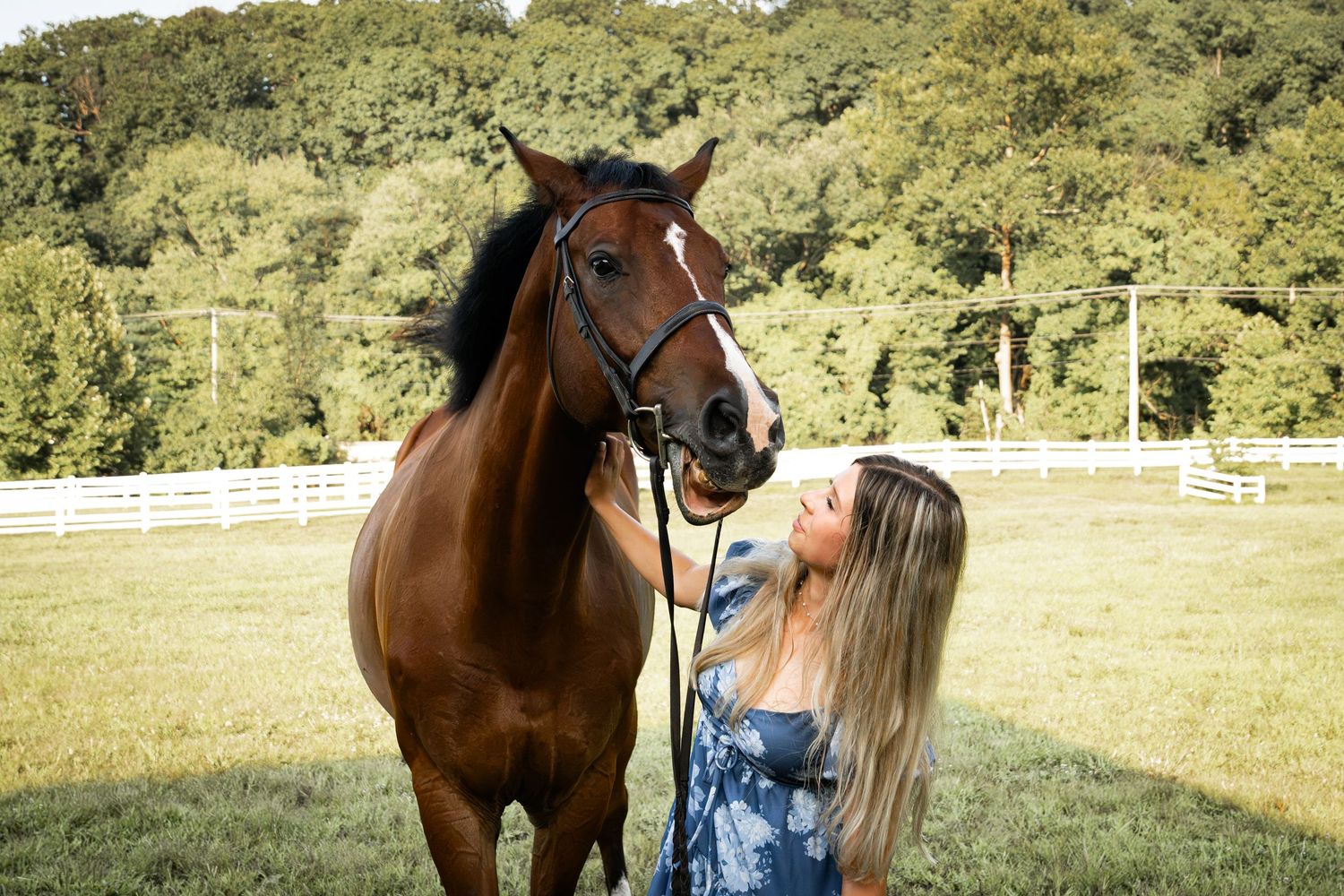 A woman with blonde hair affectionately nuzzles a bay horse in a lush green pasture with white fencing.