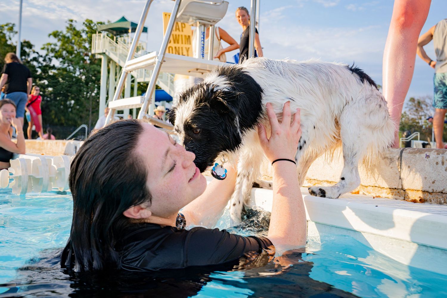 Woman in pool being licked by a black and white dog at an outdoor dog swim event.