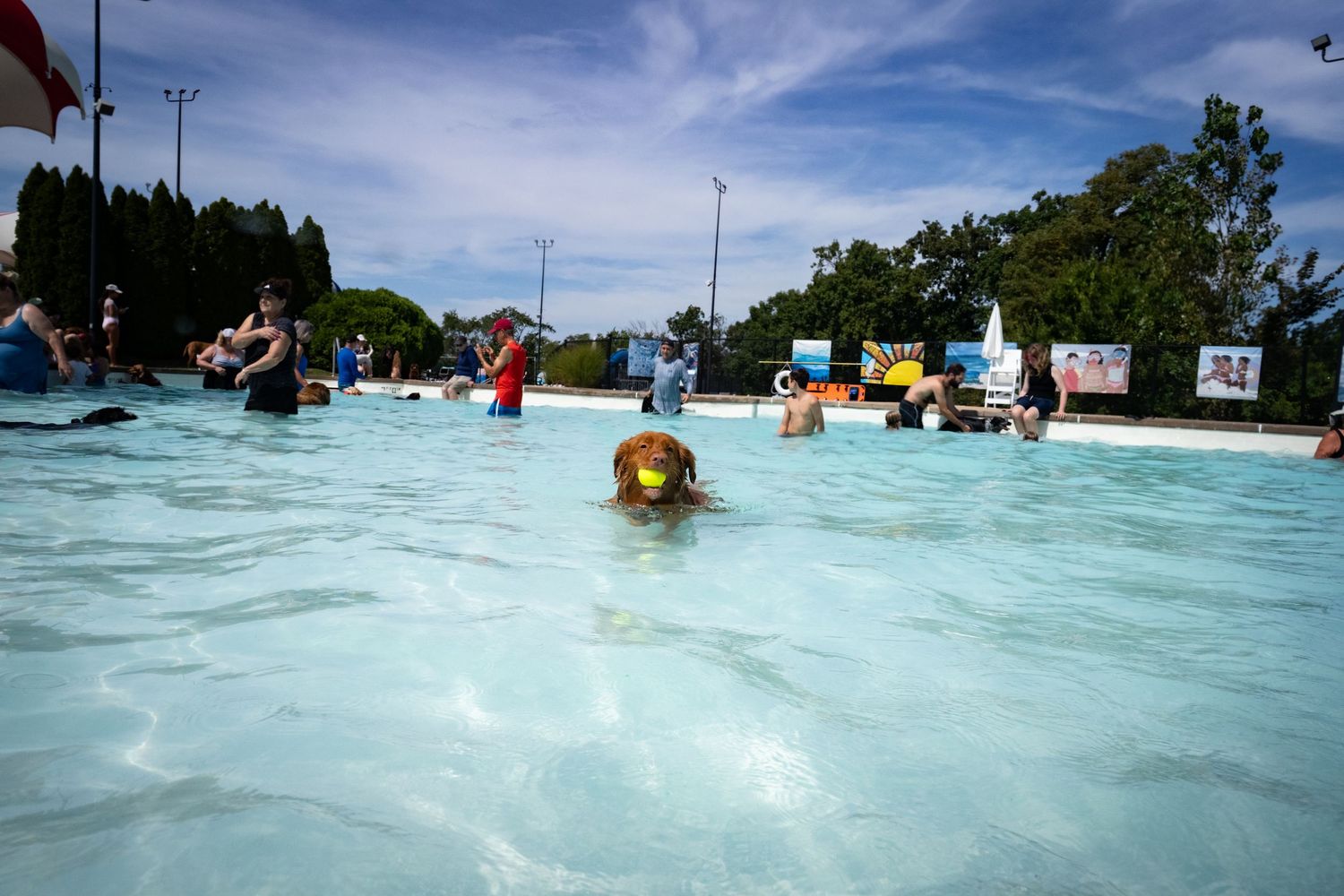 A child swims in a bright blue outdoor pool on a sunny day with other swimmers nearby.
