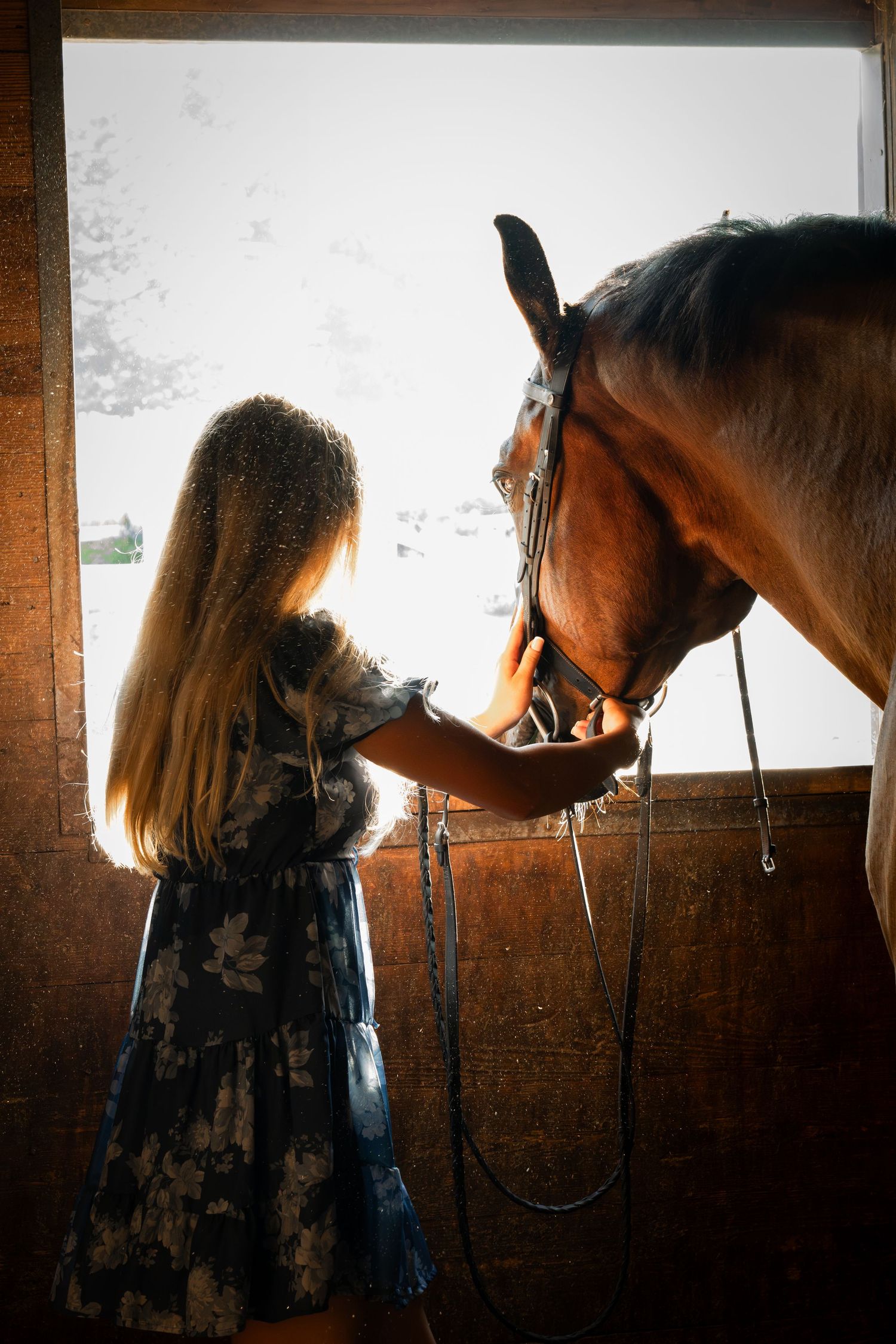 Young girl in floral dress gently touching a brown horse's nose inside a rustic barn with snowy backdrop.