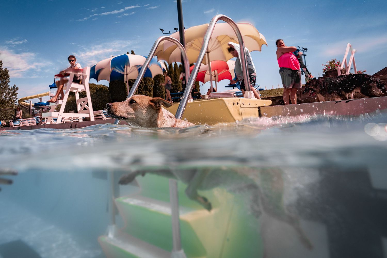 Split underwater view of an outdoor pool deck with people relaxing under umbrellas on a sunny day.