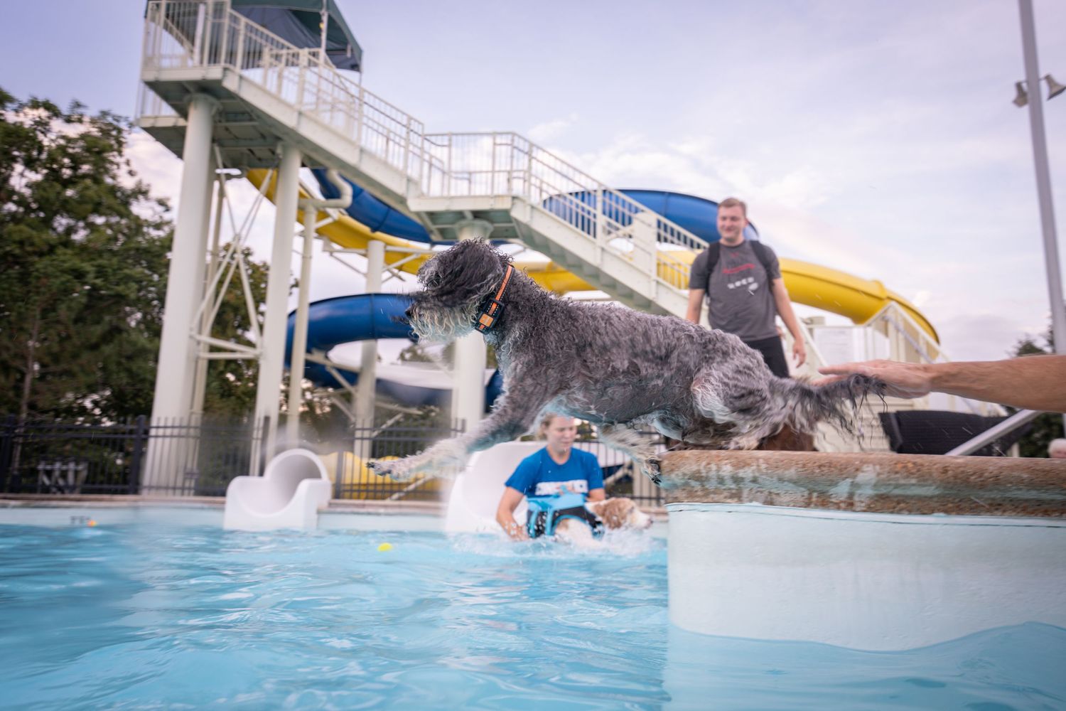 A large dog leaps into a pool at a water park while two people enjoy the splash pad area with slides.
