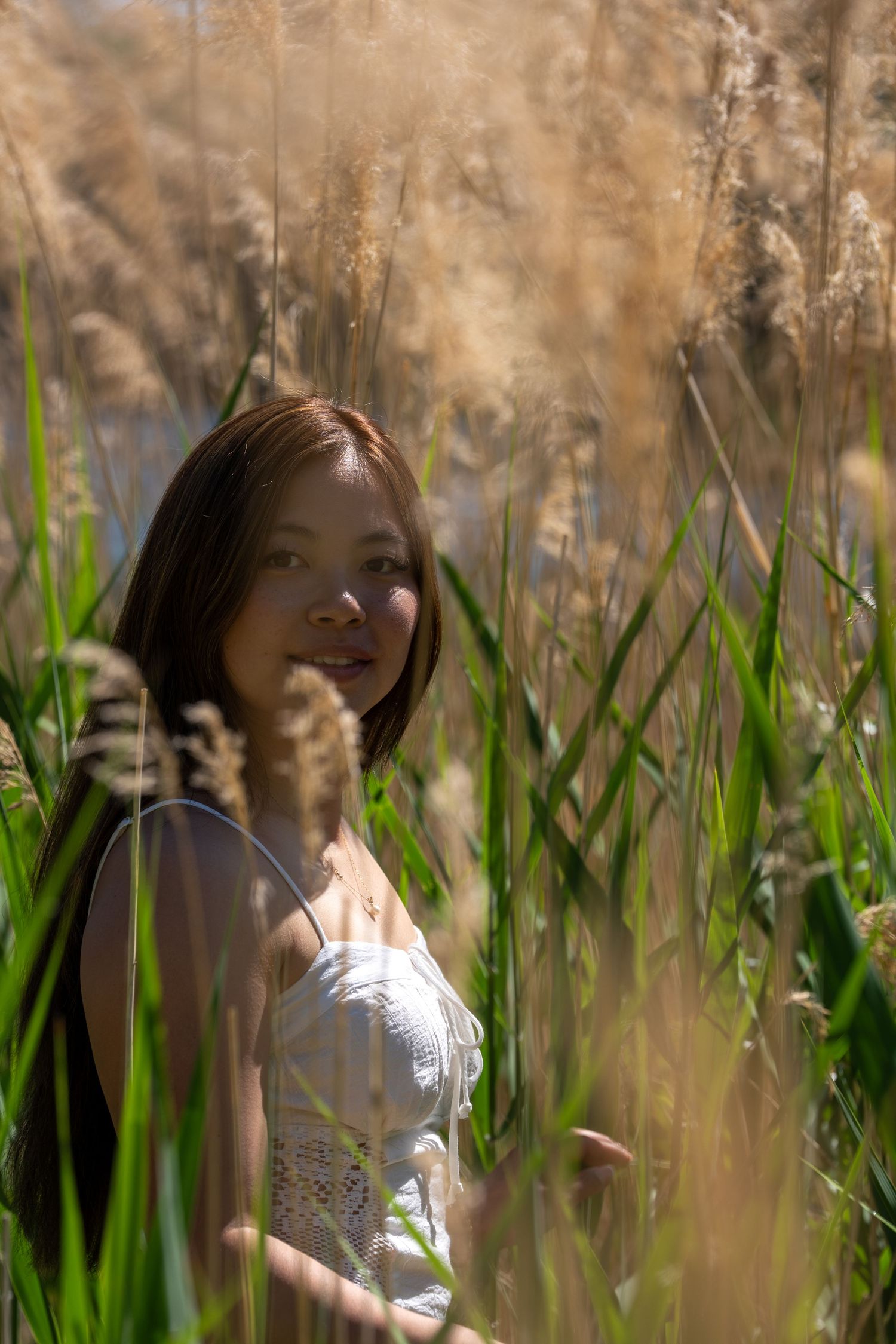 Young woman in white dress surrounded by golden tall grass in sunlit field.