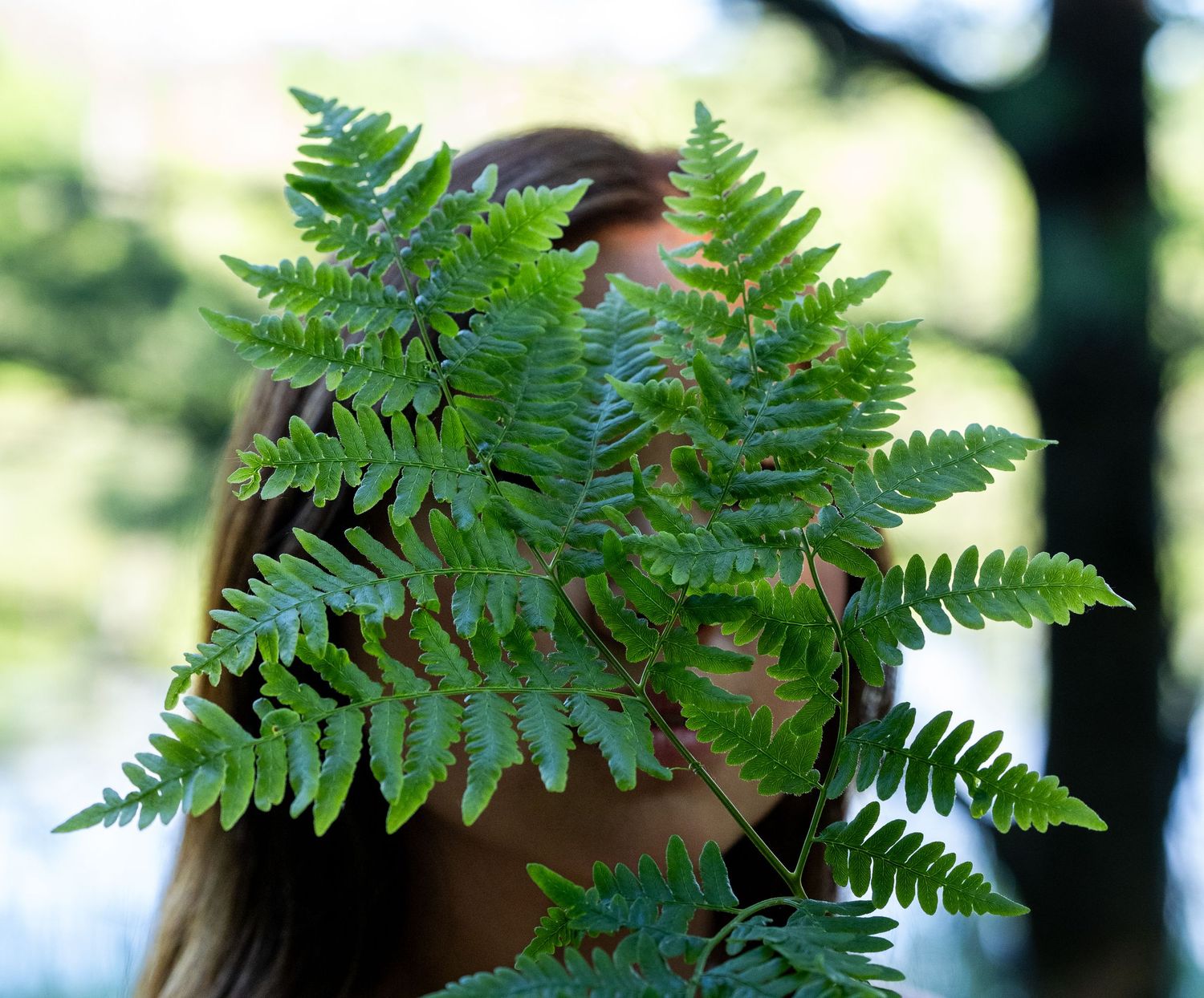 Person holding a green fern frond in front of their face in a lush outdoor setting.