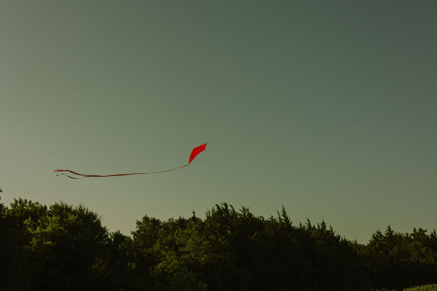A vibrant red kite soaring high above lush green treetops against a clear sky.