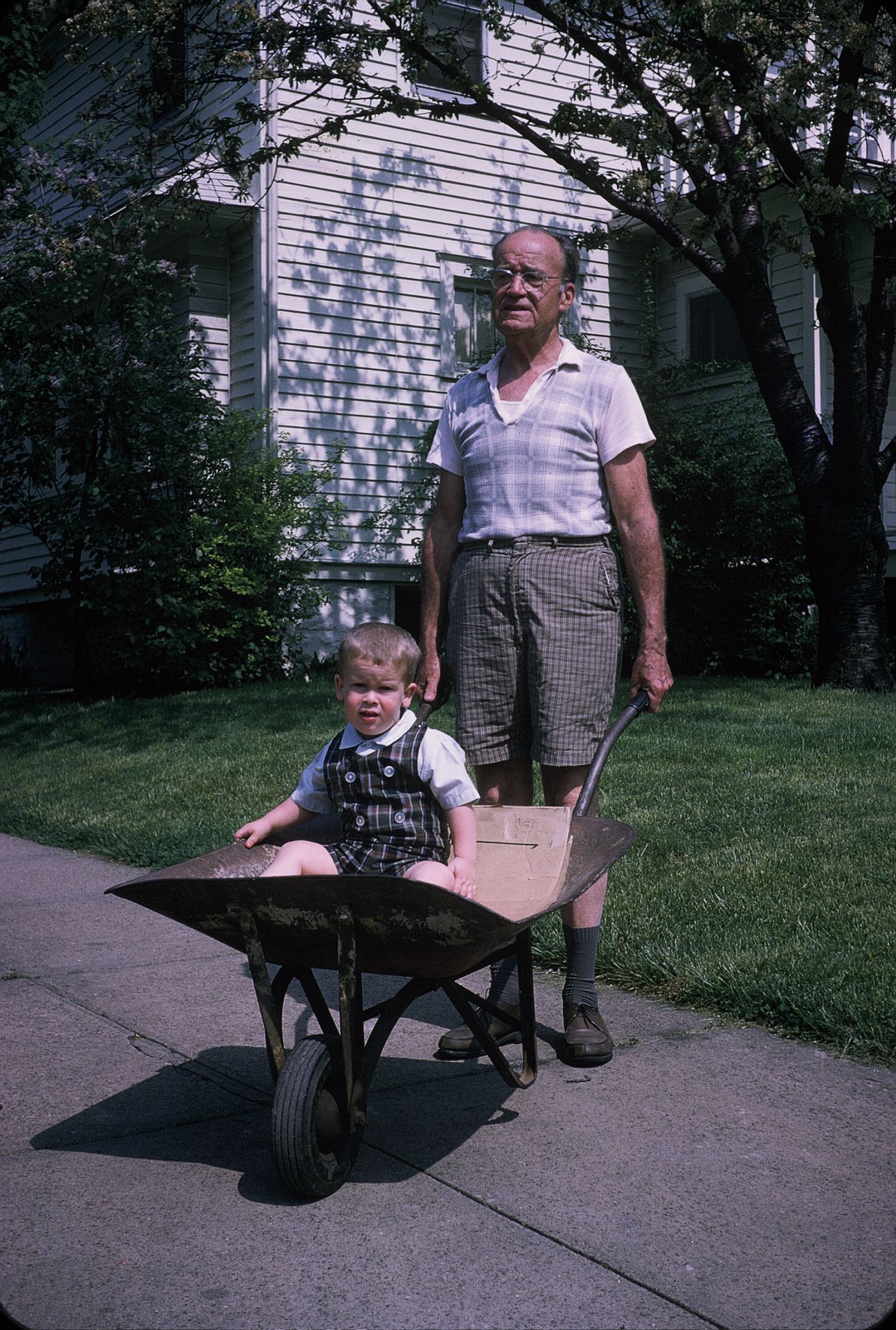 Elderly man pushes a young child sitting in a wheelbarrow on a sunny suburban sidewalk.