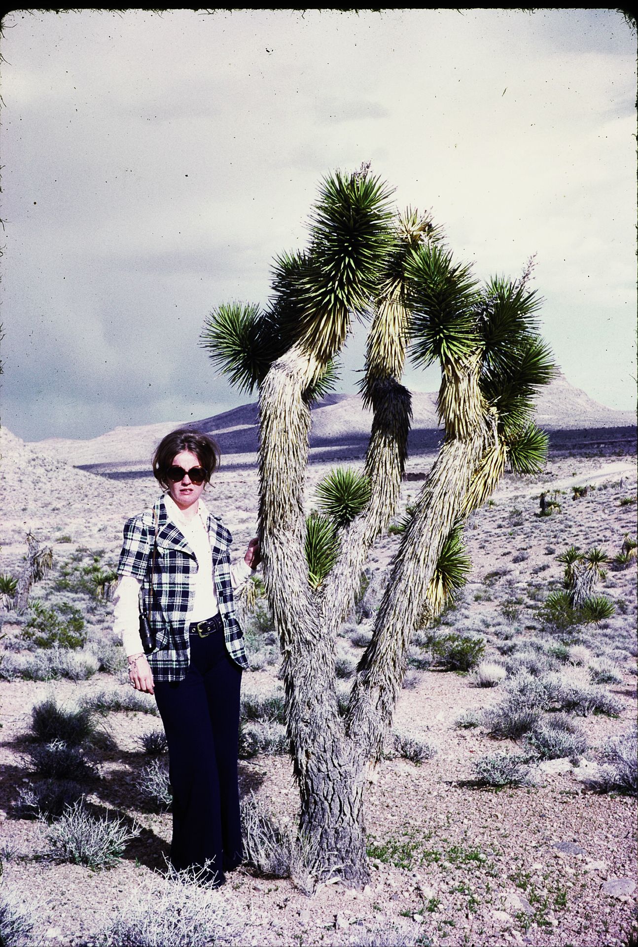 Woman in plaid jacket and sunglasses standing beside a Joshua tree in a desert landscape.