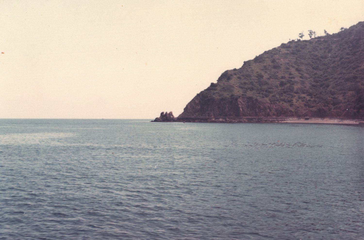 Calm blue ocean waters beside a lush green hillside peninsula under a clear sky.
