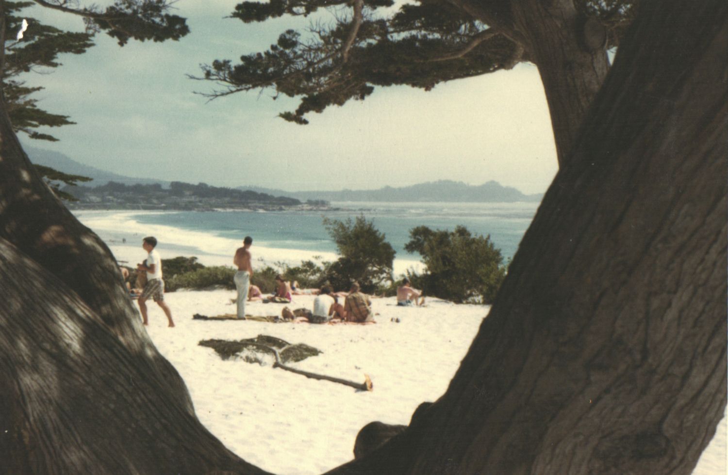 Sunbathers relax on a white sandy beach framed by cypress trees with ocean views in the background.